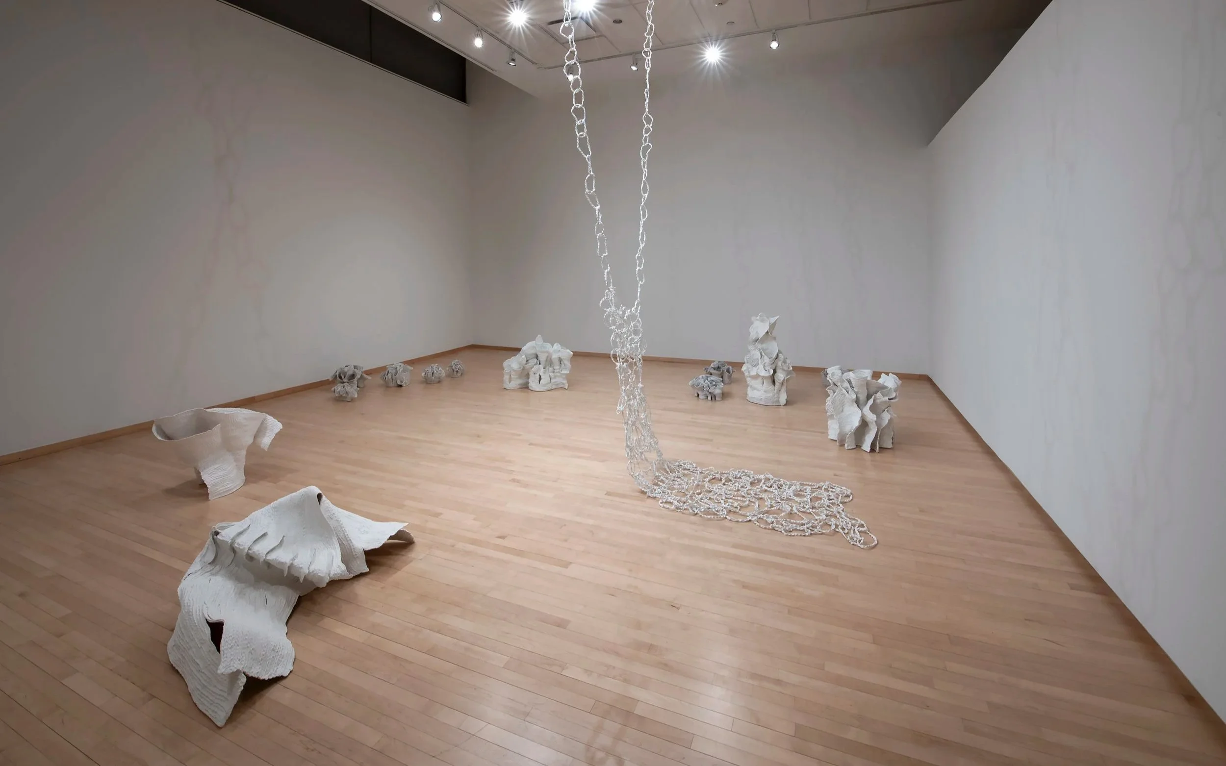 "Eutierria"
Installation view.
Porcelain. Dimensions: Variable.
Photo credit: John Carlano
