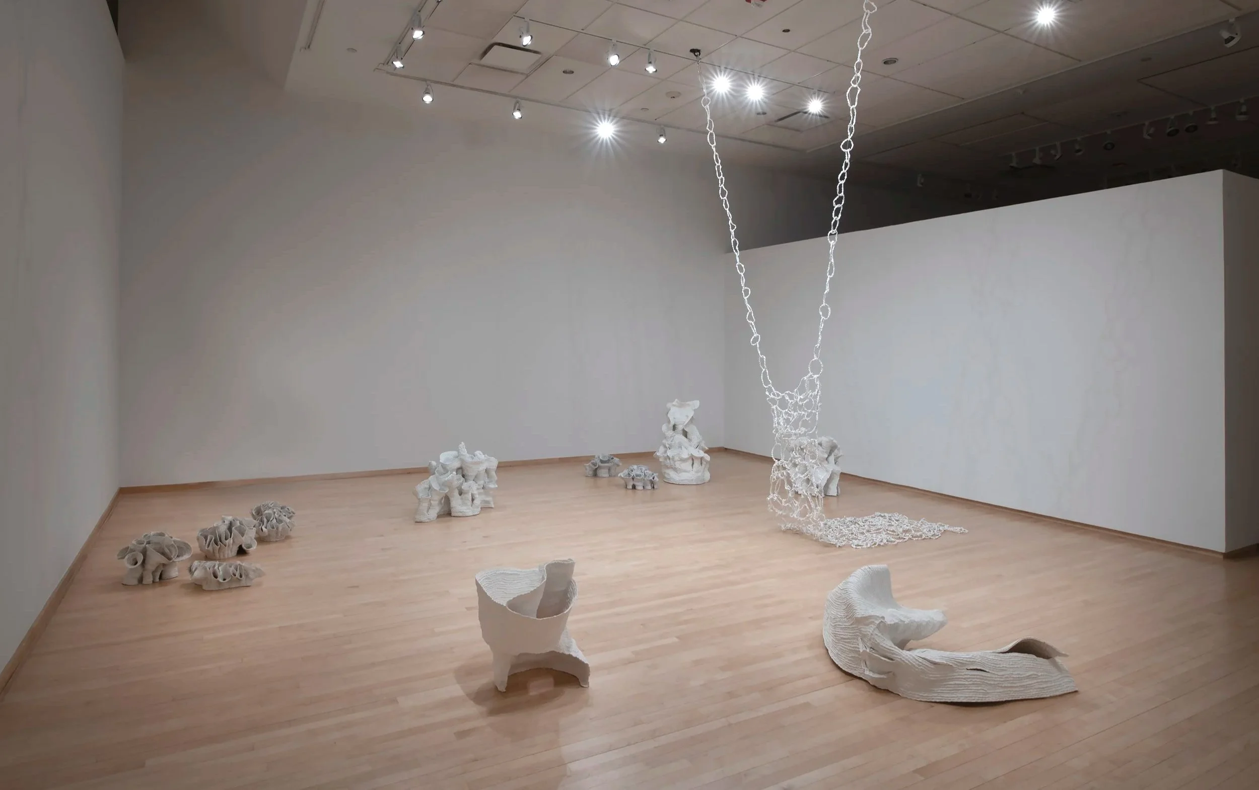 "Eutierria"
Installation view.
Porcelain. Dimensions: Variable.
Photo credit: John Carlano