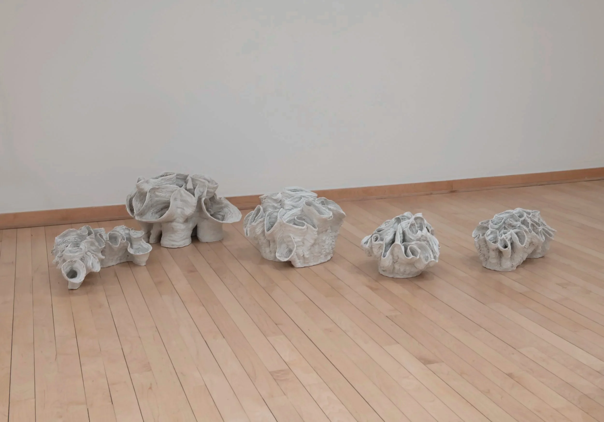 "Eutierria"
Installation view.
Porcelain. Dimensions: Variable.
Photo credit: John Carlano