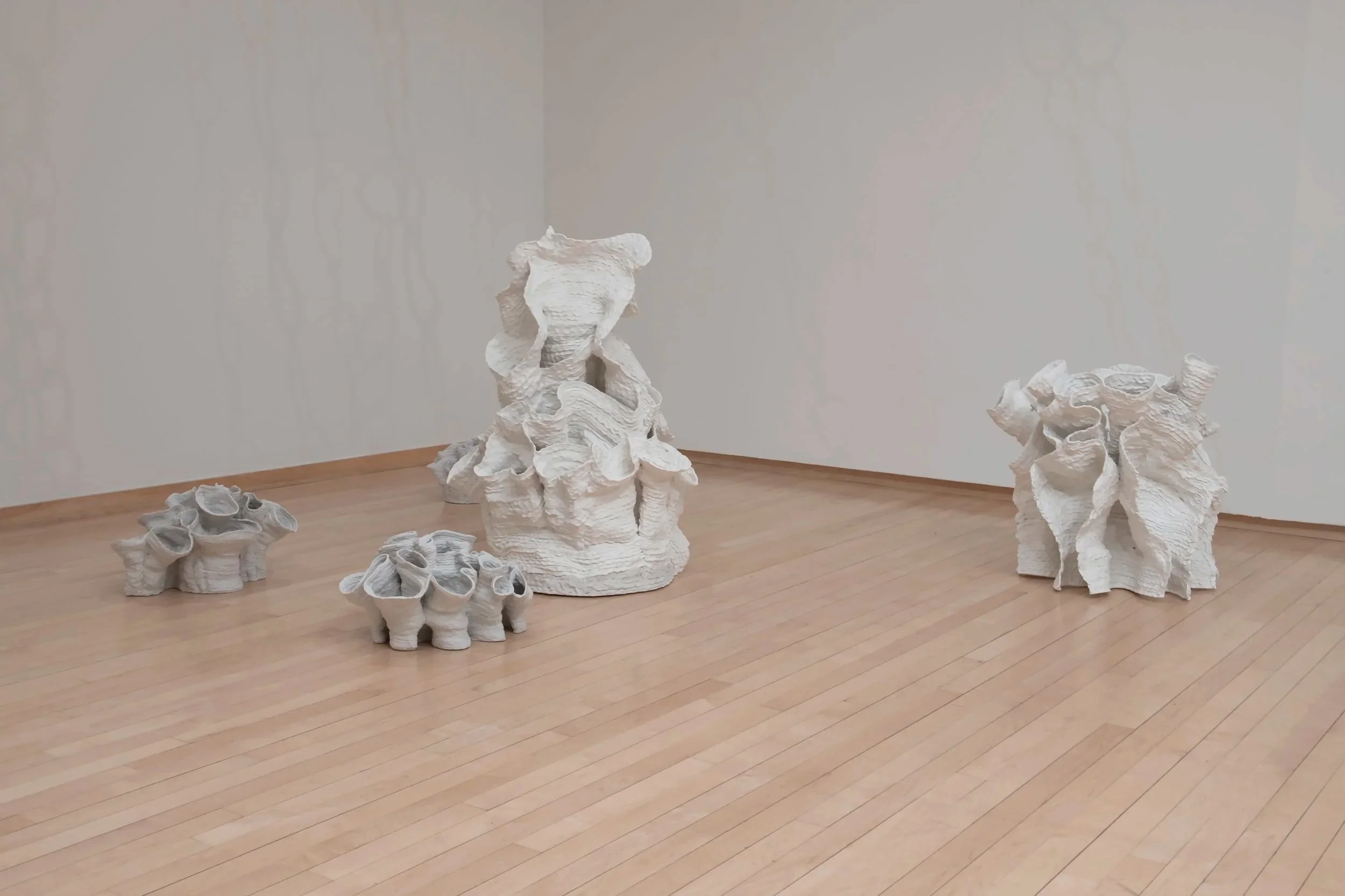 "Eutierria"
Installation view.
Porcelain. Dimensions: Variable.
Photo credit: John Carlano