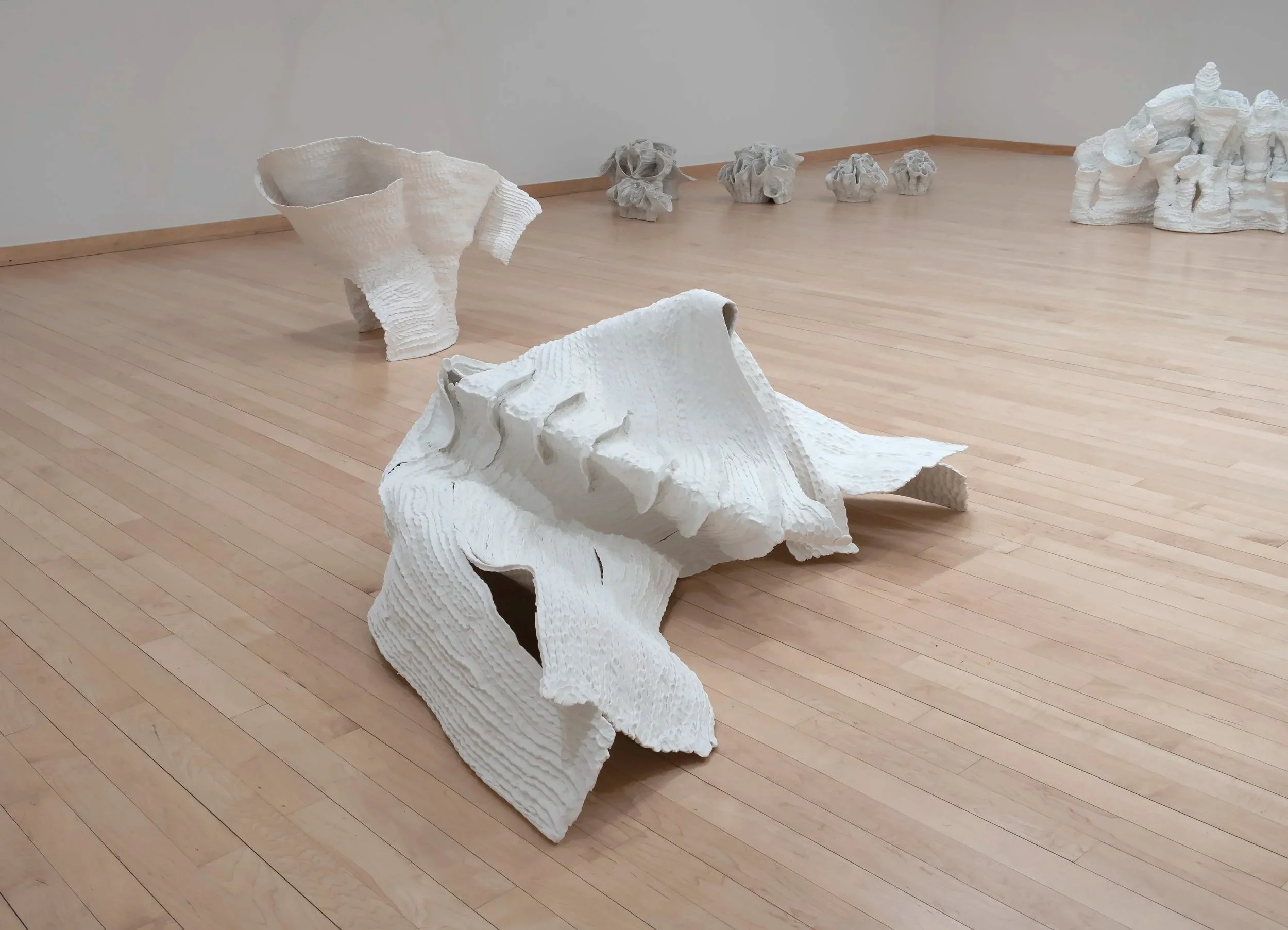 "Eutierria"
Installation view.
Porcelain. Dimensions: Variable.
Photo credit: John Carlano