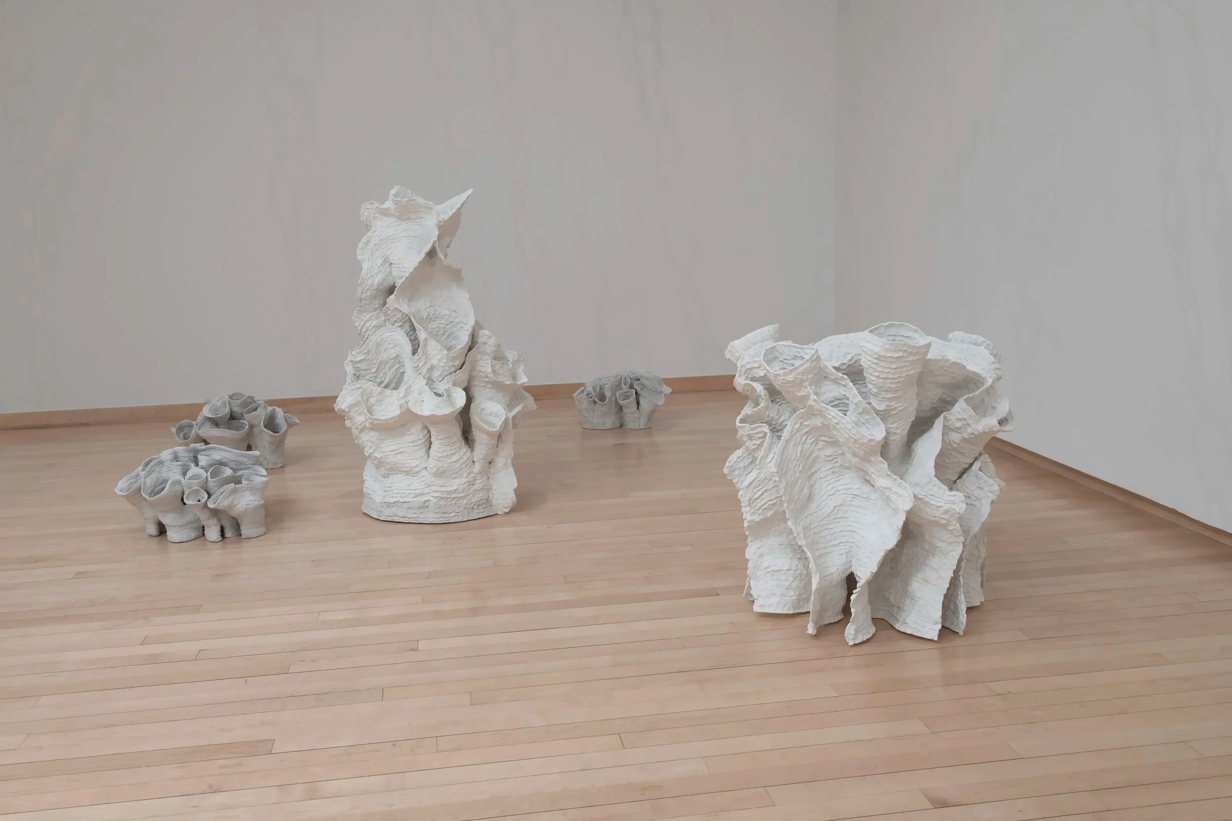 "Eutierria"
Installation view.
Porcelain. Dimensions: Variable.
Photo credit: John Carlano
