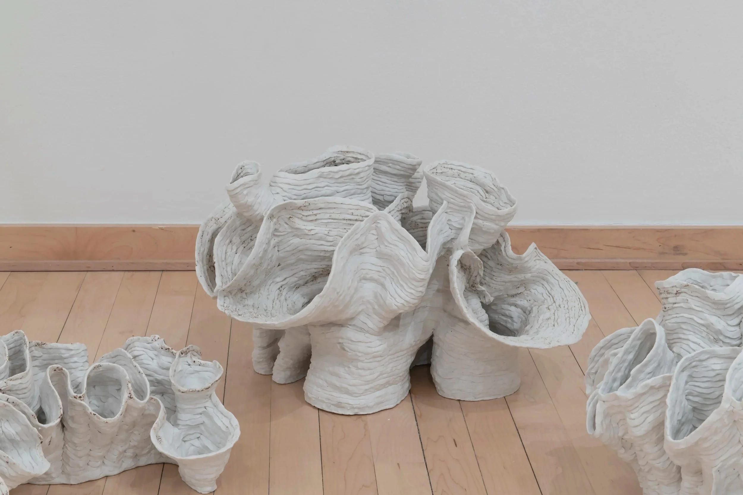 "Eutierria"
Installation view.
Porcelain. Dimensions: Variable.
Photo credit: John Carlano
