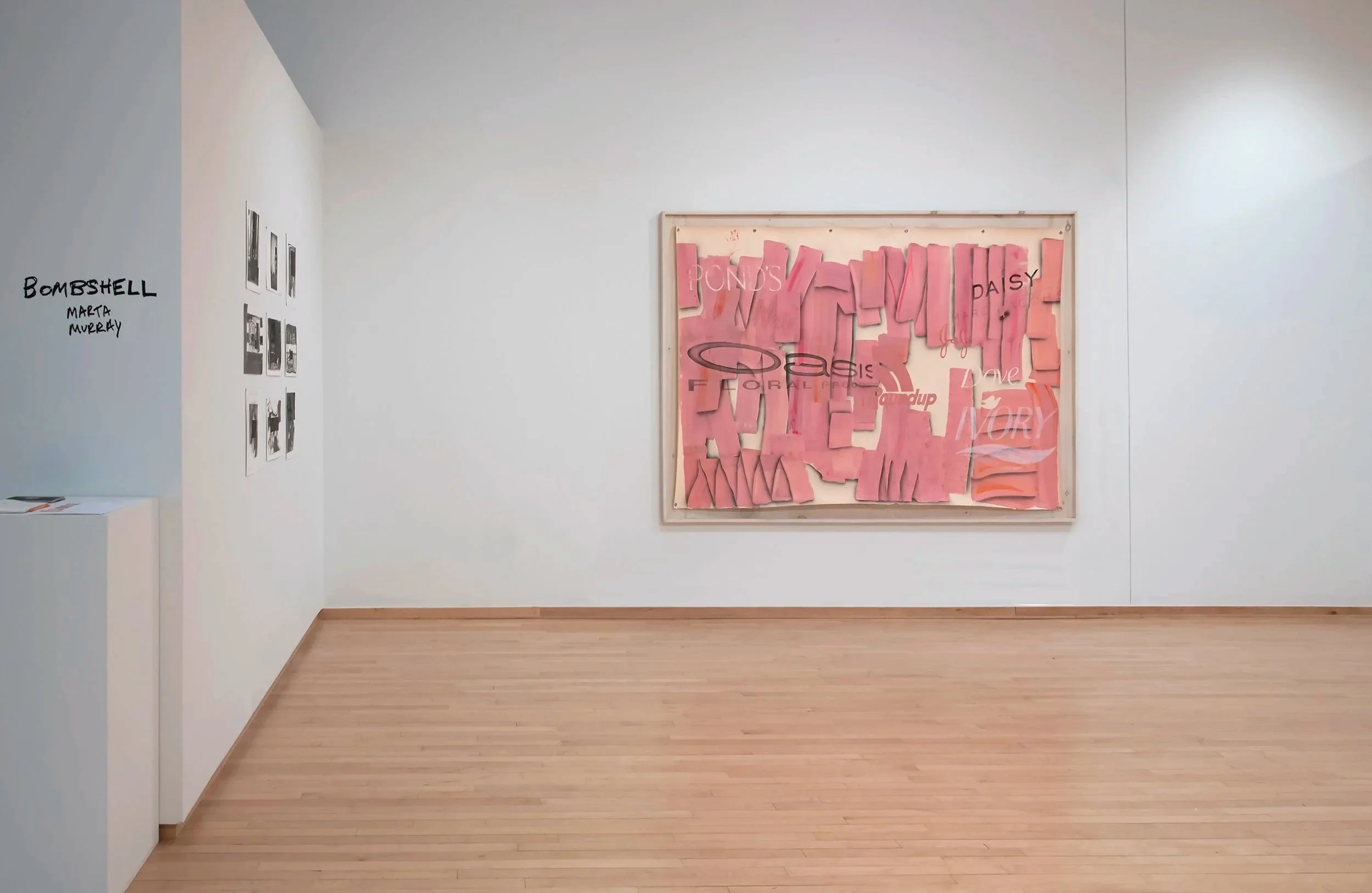 Bombshell (installation view)
2026
batter, pink slime, ink and grommets on 
paper, Photo Credit: John Carlano