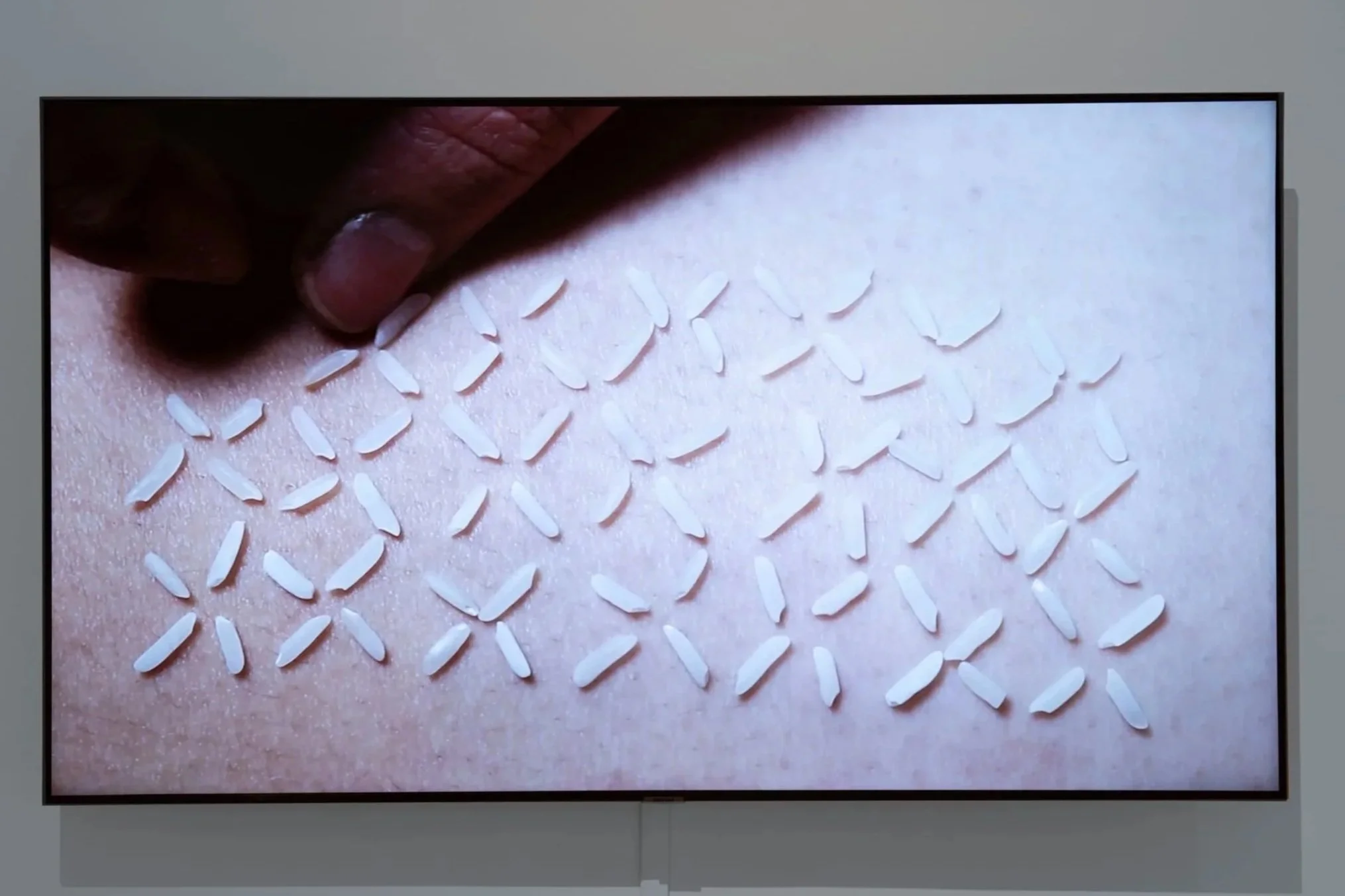 Jessalyn Mailoa, 
Tender Fixation, 
2024, 
One-channel video installation. 
Dimensions variable