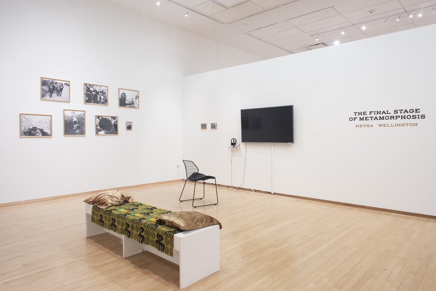 Neysa Hope Wellington — STELLA