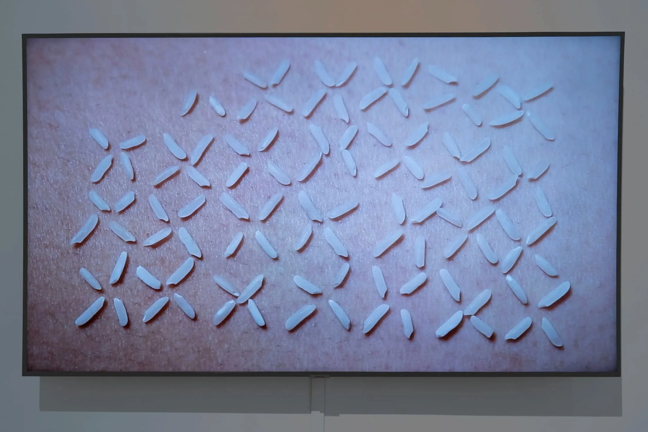 Jessalyn Mailoa, 
Tender Fixation, 
2024, 
One-channel video installation. 
Dimensions variable