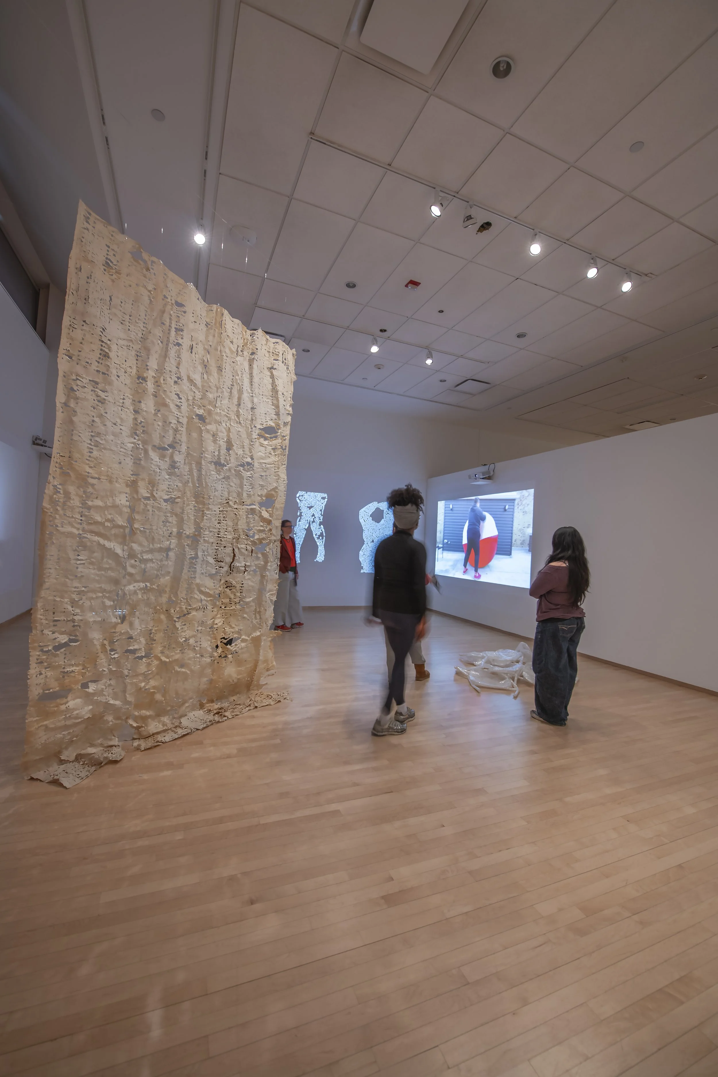 "life pro," Installation View, Photo Credit: John Carlano