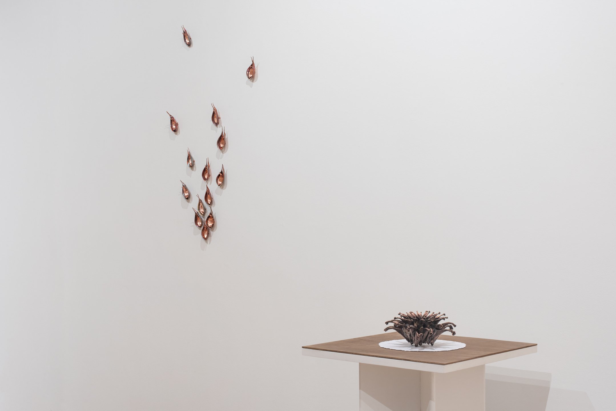 "Pattern & Presence"
Installation
Dimensions variable
Photo Credit: Neighboring States