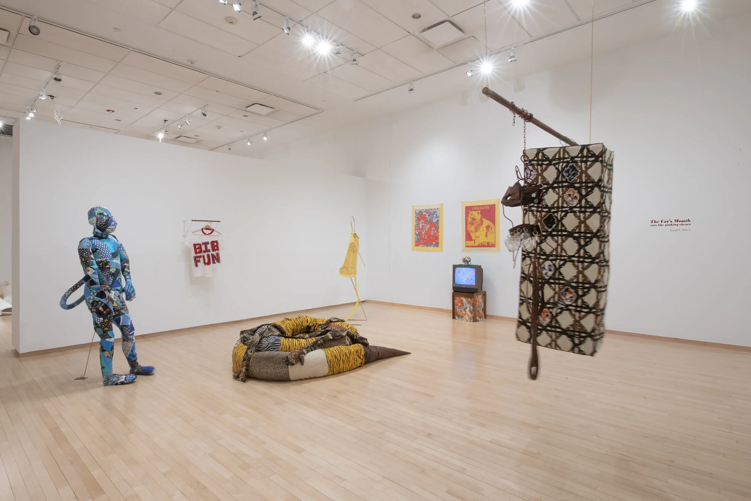 "The Cat's Mouth
cuts like pinking shears" Installation View. Photo Credit: John Carlano