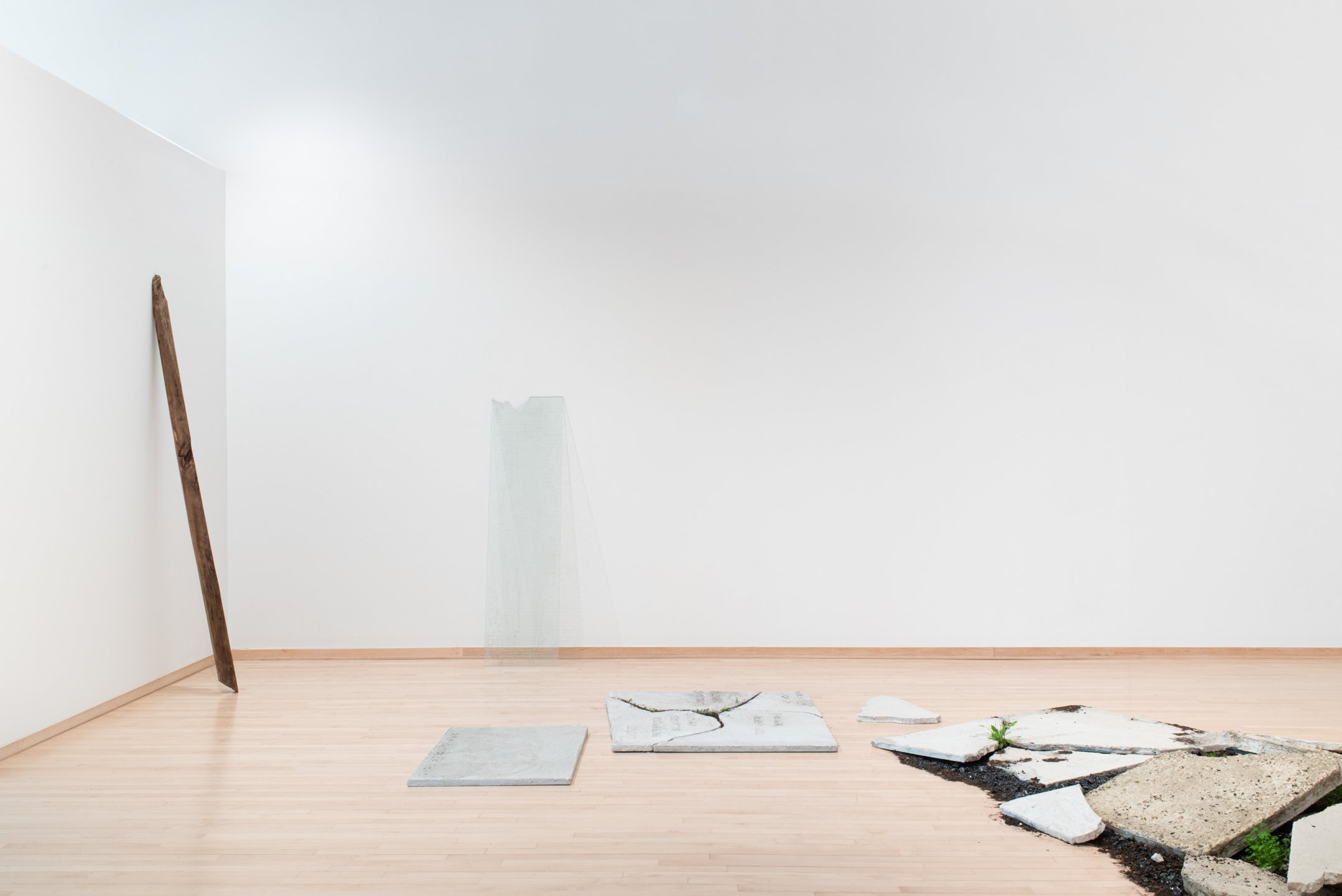 "Asphalt," "Parking Lot," "Rain Garden" (gallery installation shot), 2025, Photo Credit: Neighboring States