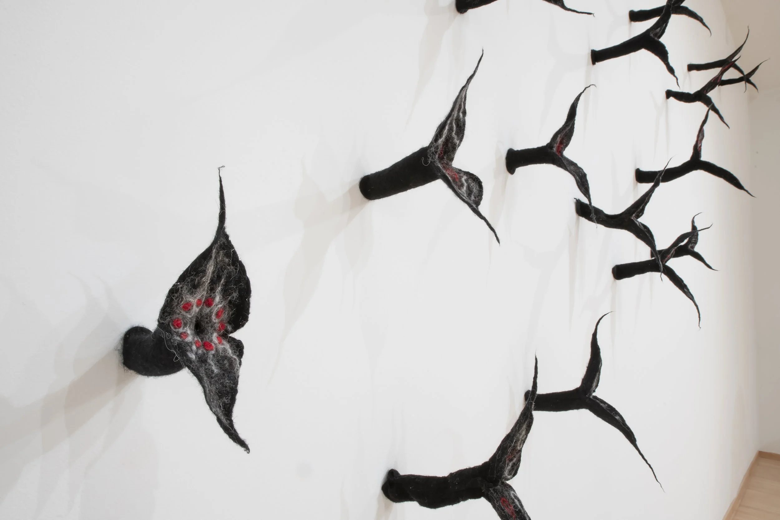 "Flock” (detail), Wool, Dimensions variable. Photo
Credit: John Carlano