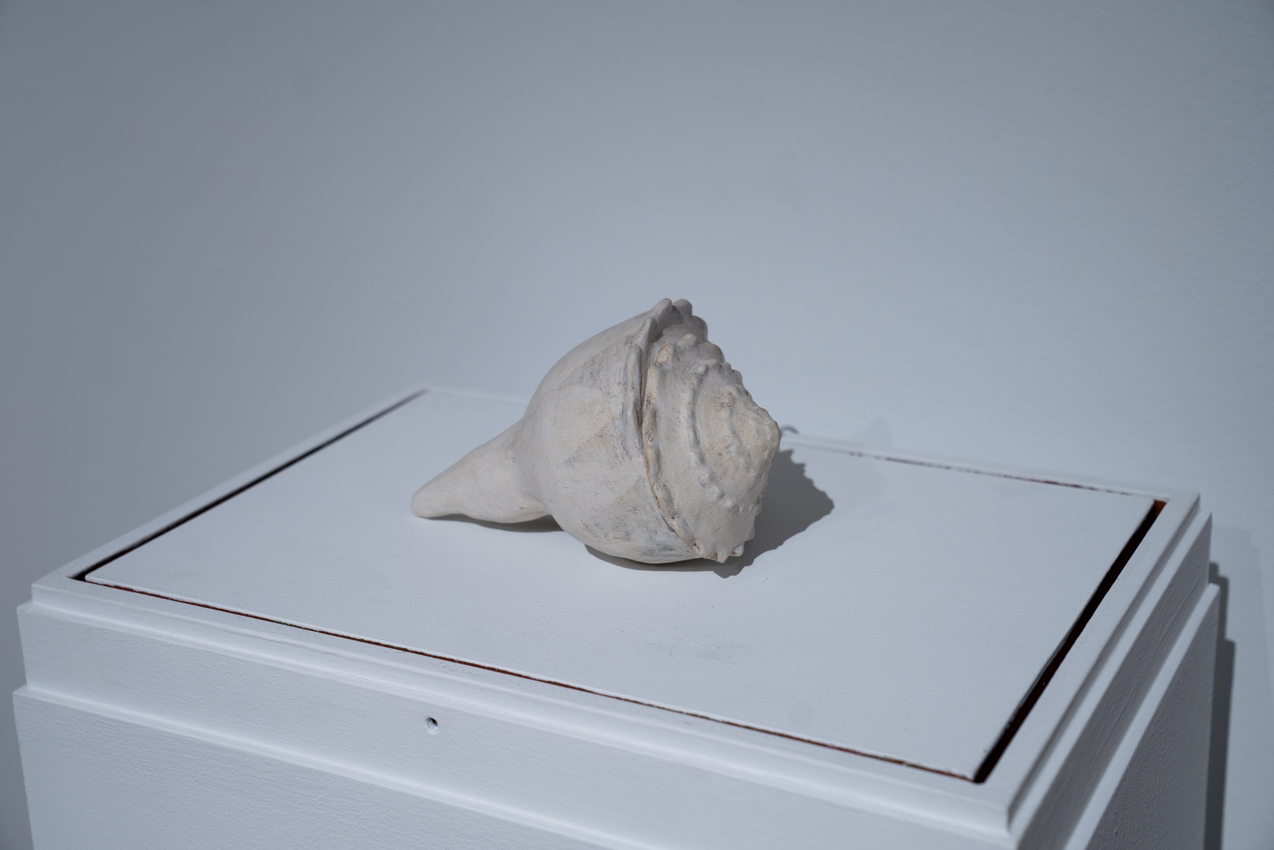 Rylie Kelley, 
Your hands glide across my chest, a gentle tide  
of salt and brine, 
2026, 
Ceramic, sand, sound recording of the Atlantic  
Ocean, and poetry. 
Dimensions variable 