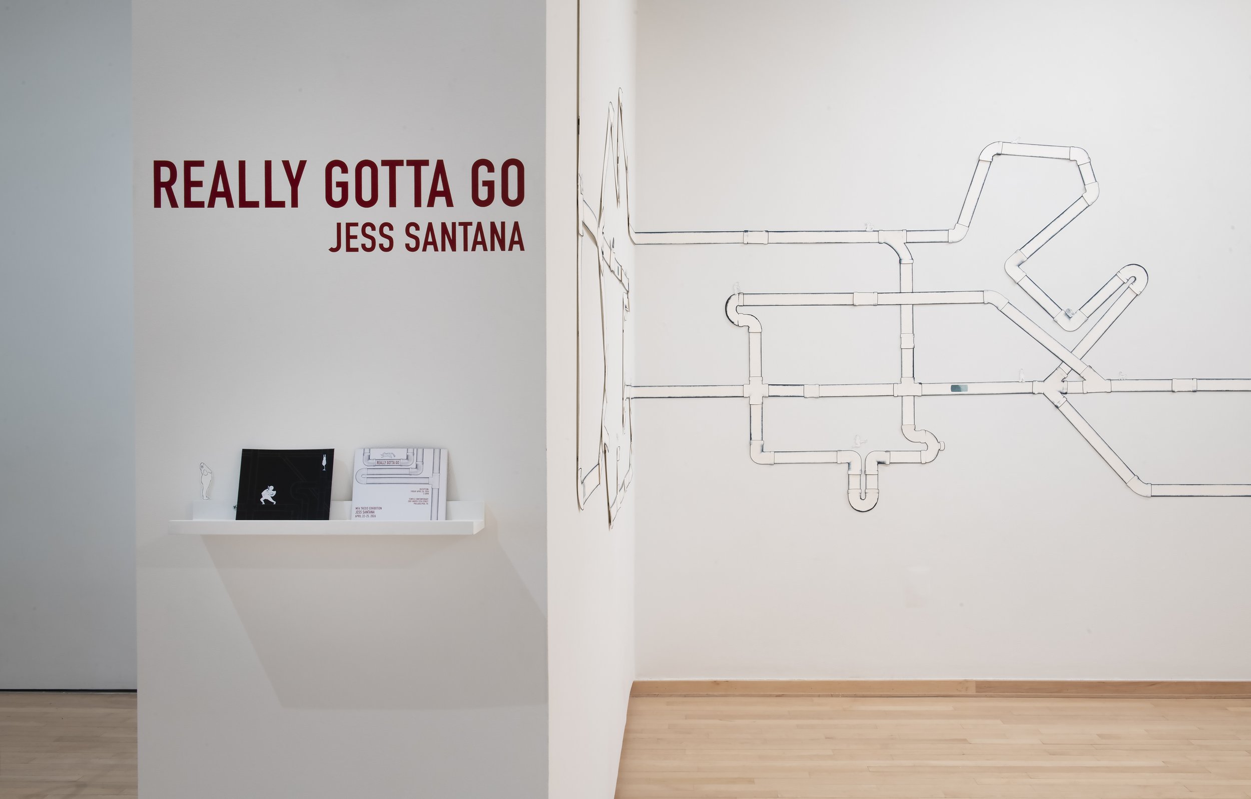 "Inner Workings"
Installation view
Installation, casted handmade paper, screenprint, 
etching. Dimensions variable 
Photo credit: John Carlano