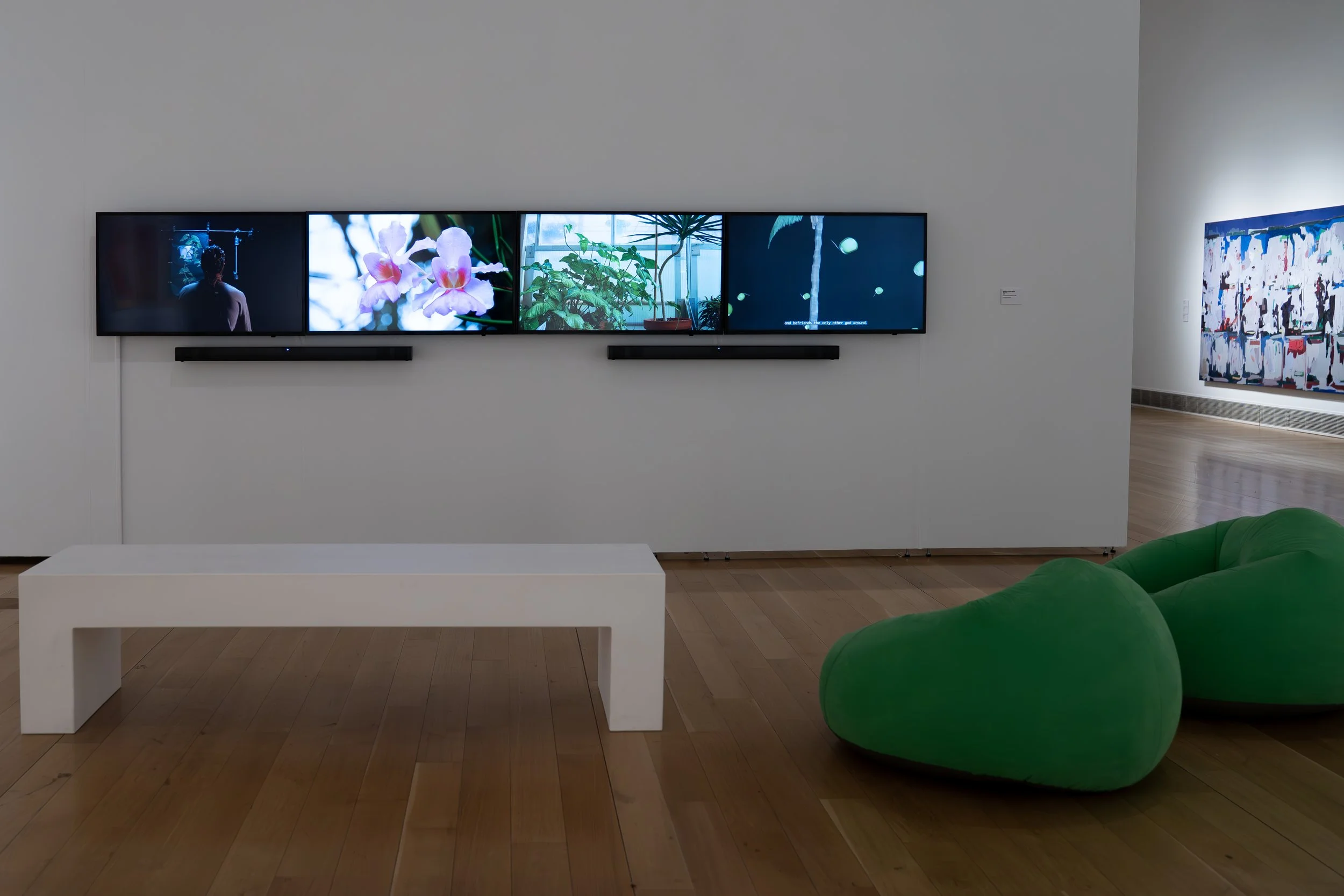 Brandon Aquino Straus, 
Flora After, 
2026, 
4-channel video installation (12:48); source also notes video converted into one channel. 
Dimensions variable 
