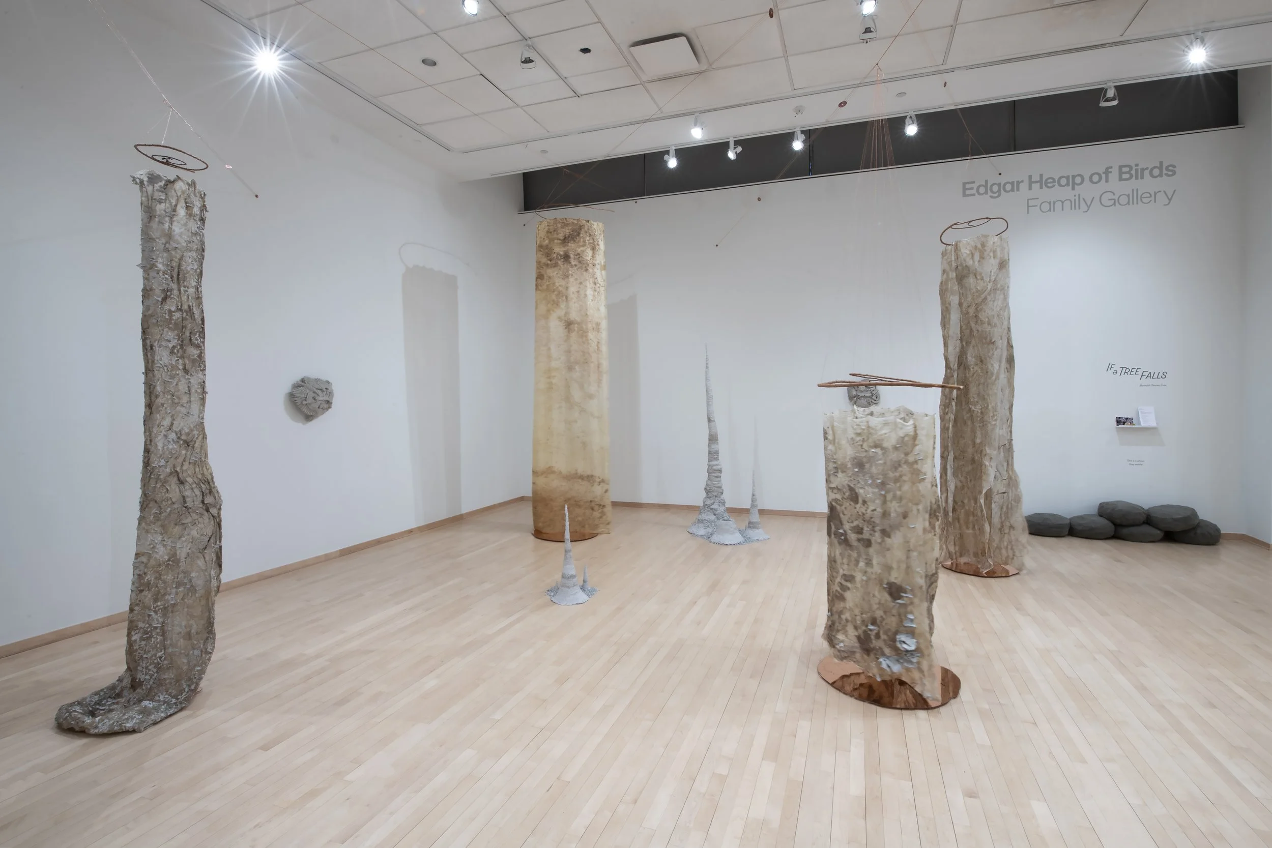 "If a Tree Falls" Installation View, Photo Credit: John Carlano
