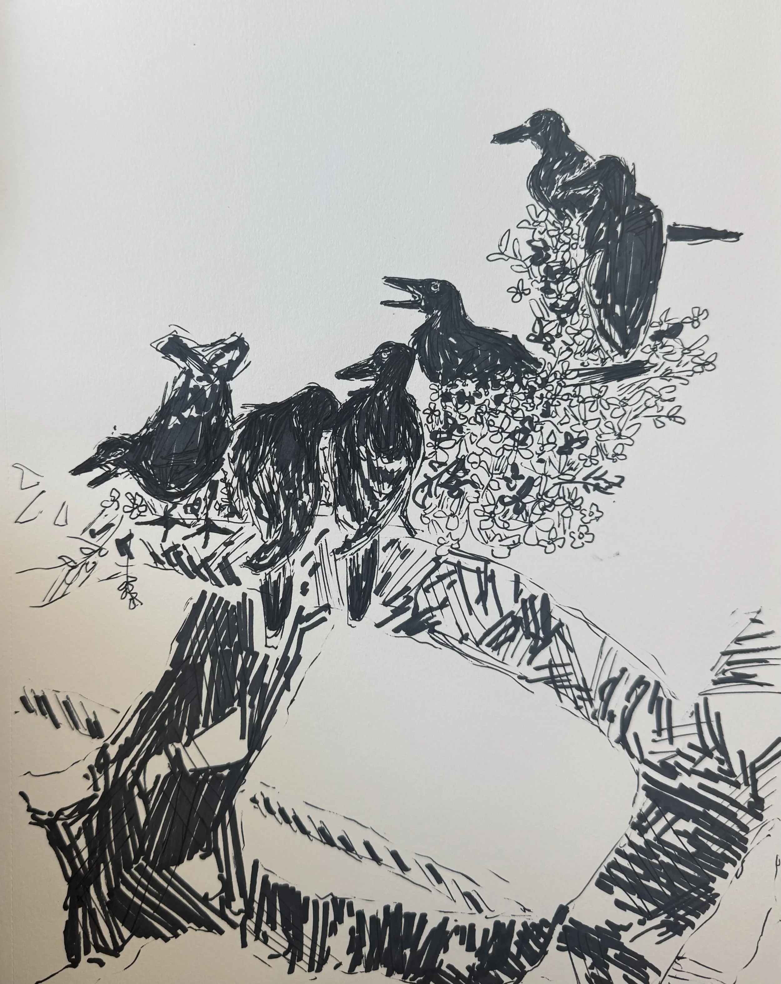 "Crow" 2025, Pen on paper, 10" x 12"