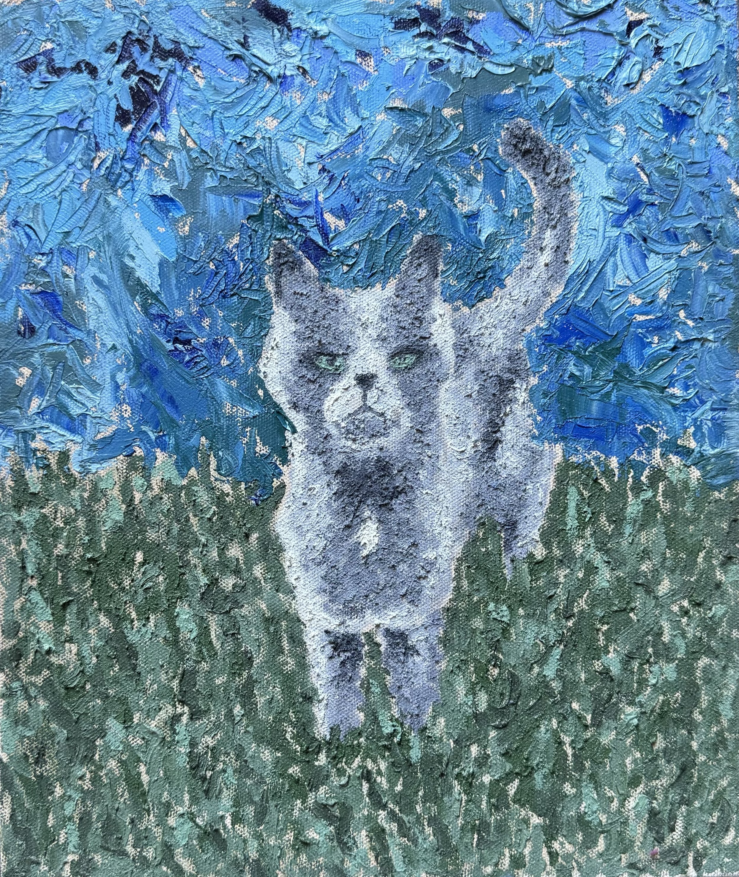 "Hardy" 2023, Oil on canvas, 10" x 12"