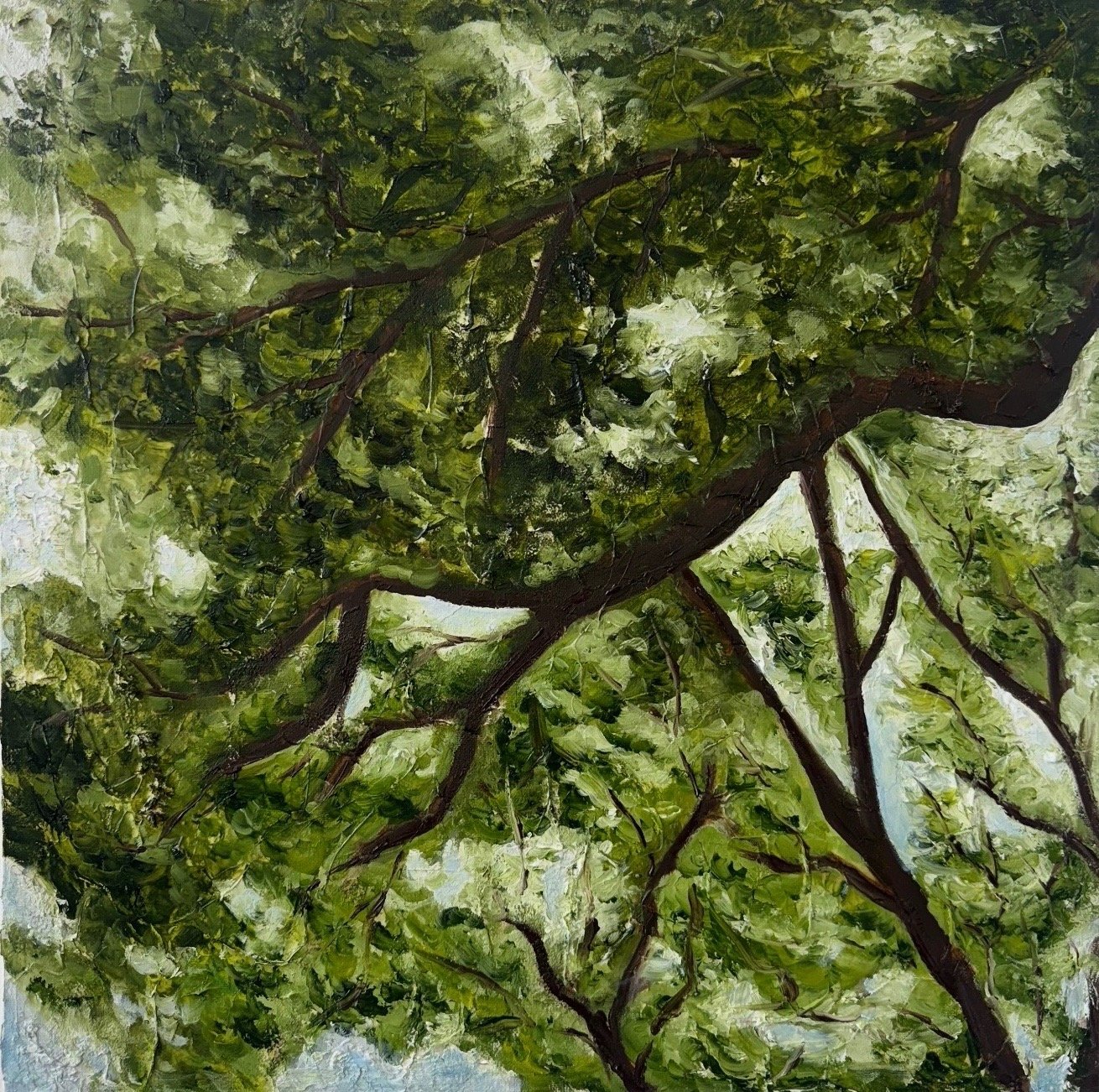 "Foliage" 2025, Oil on canvas, 20" x 20"