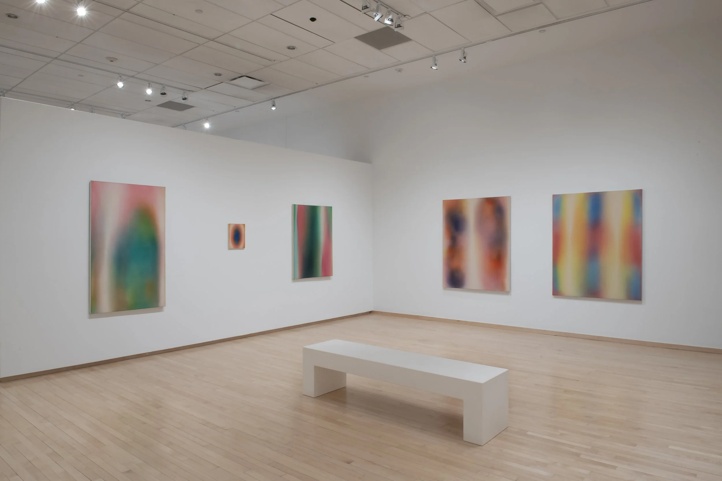 "Bloom" Installation View, Photo Credit: John Carlano