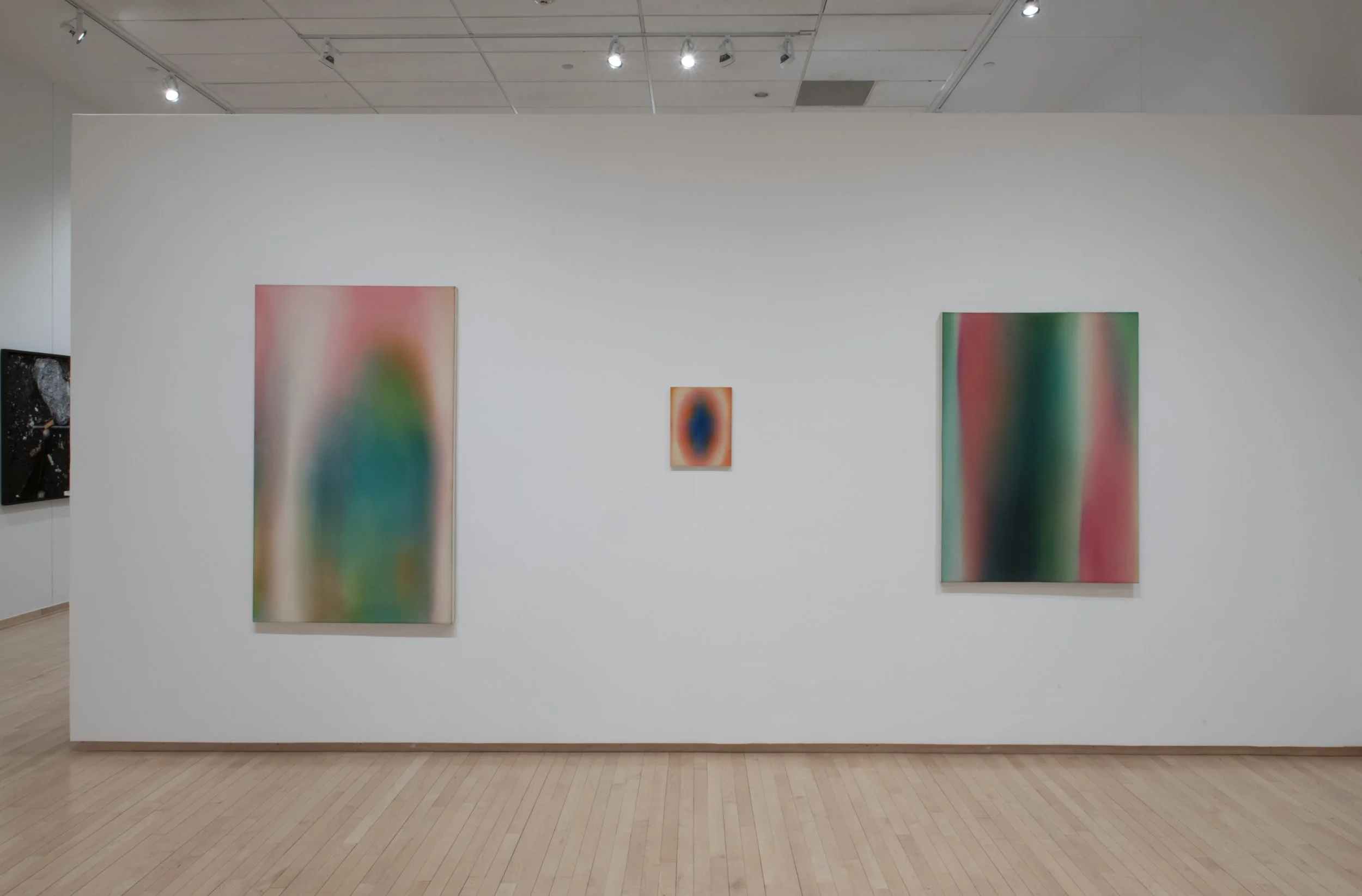 "Bloom" Installation View, Photo Credit: John Carlano