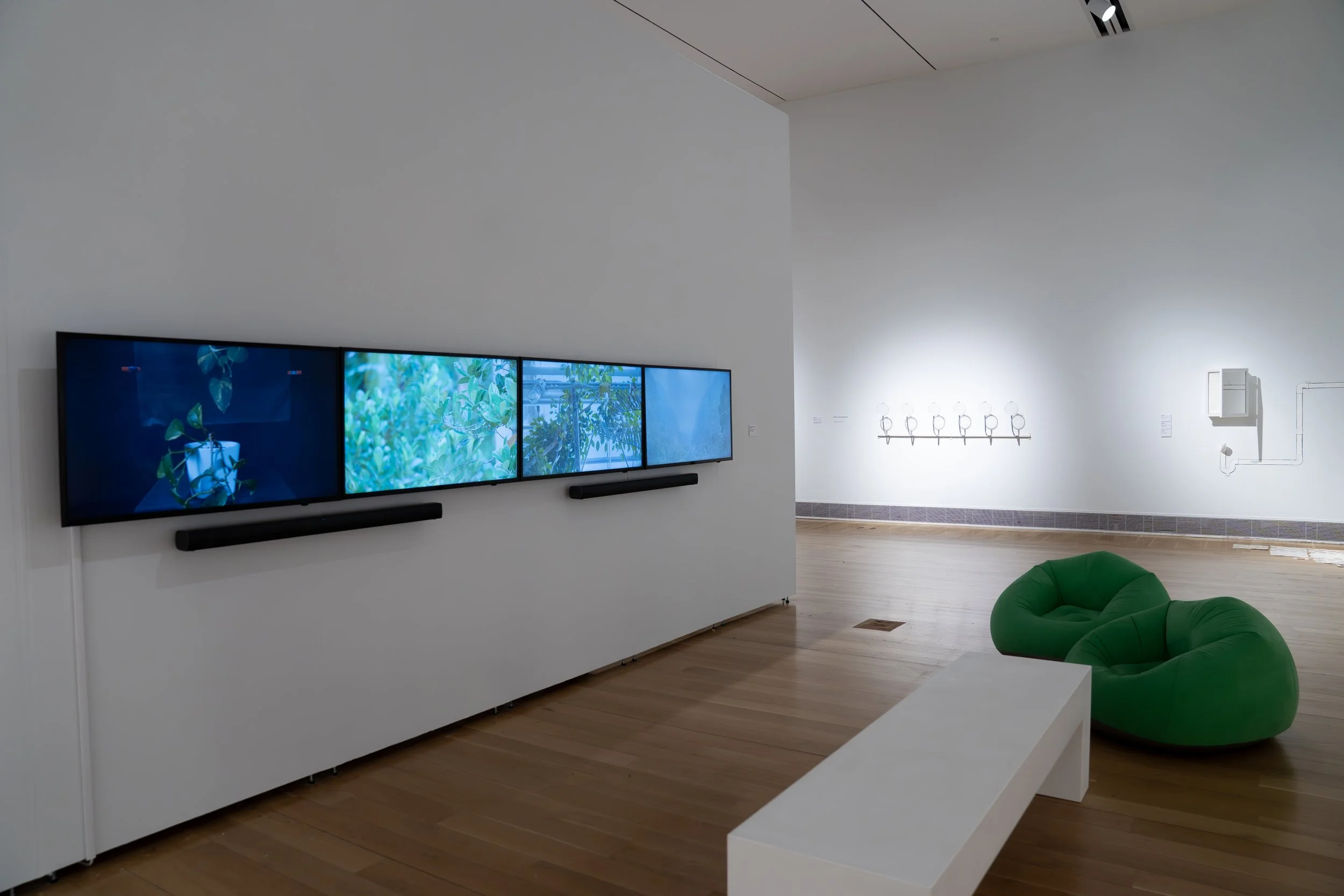 Brandon Aquino Straus, 
Flora After, 
2026, 
4-channel video installation (12:48); source also notes video converted into one channel. 
Dimensions variable