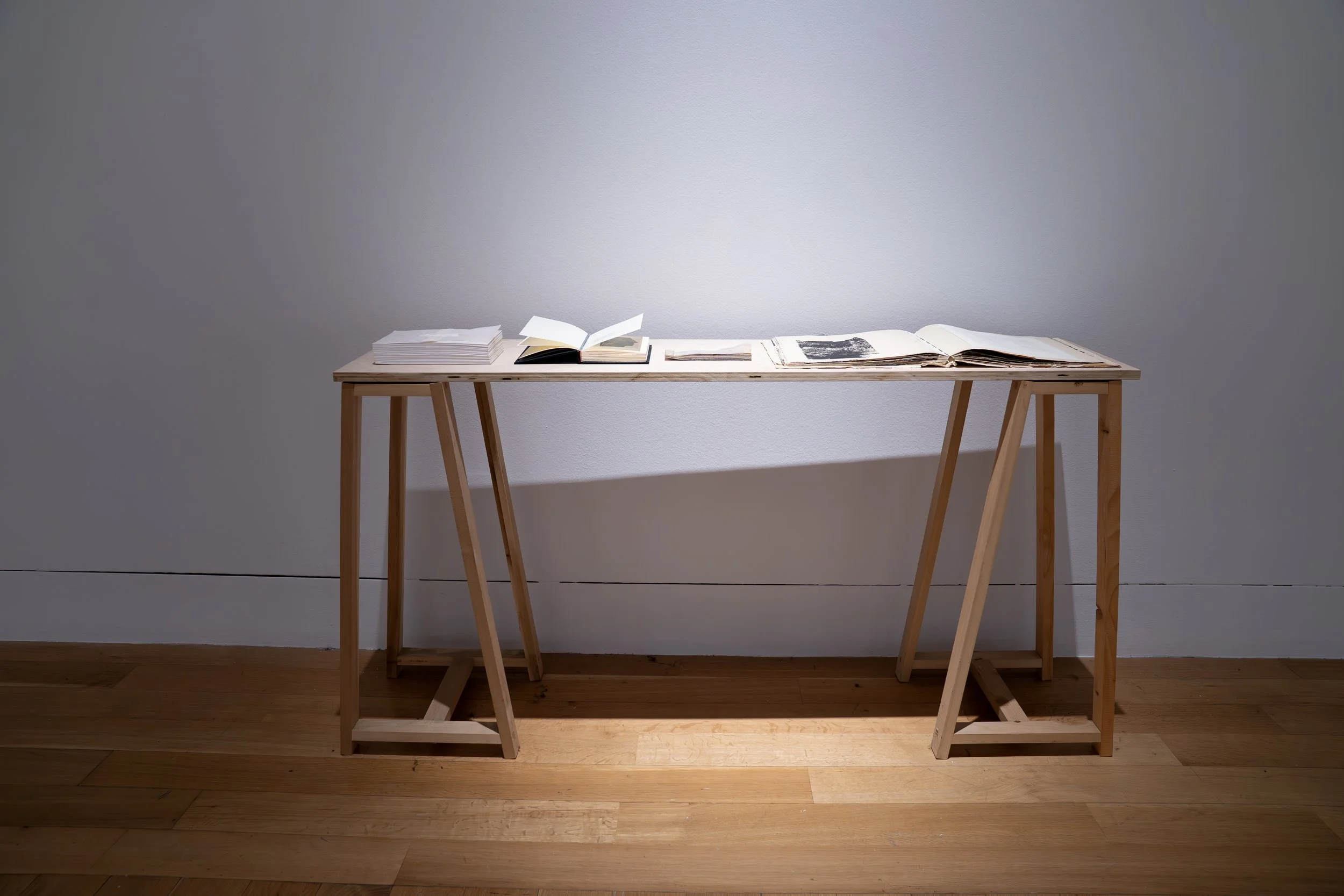 ev Leto,
Artist books, 
2024-2025,
Dimensions variable
