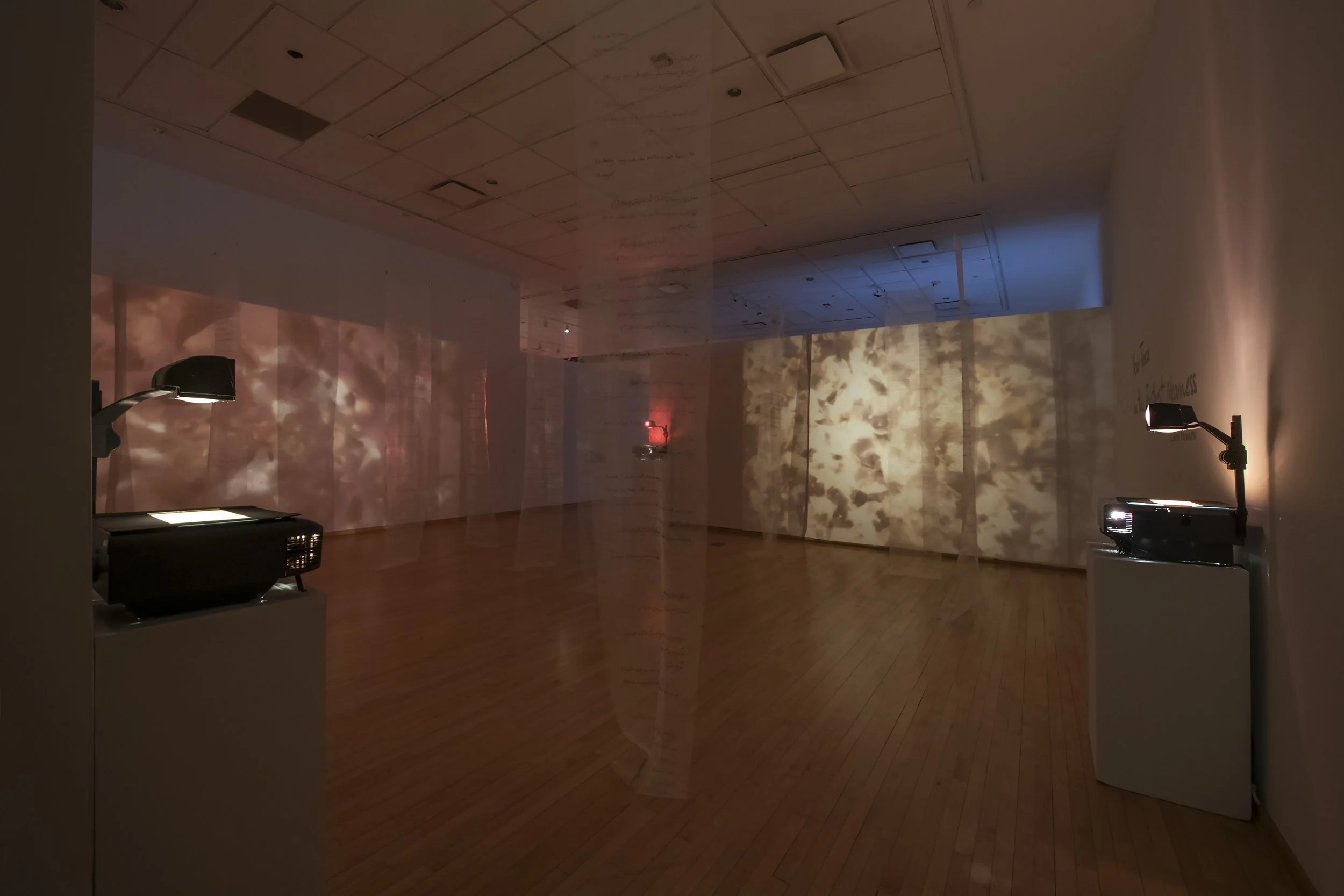 "Your Trace in the Farthest Nearness" 
Installation view. 
Mixed media installation with overhead projection, phytograms, transparent fabric, and handwritten text. 

Dimensions variable. 

Photo credit: John Carlano 