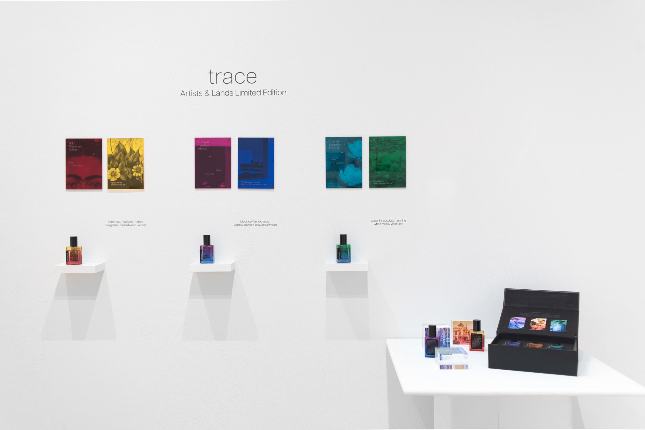 “Trace” Installation
Dimensions variable
Photo credit: Neighboring States