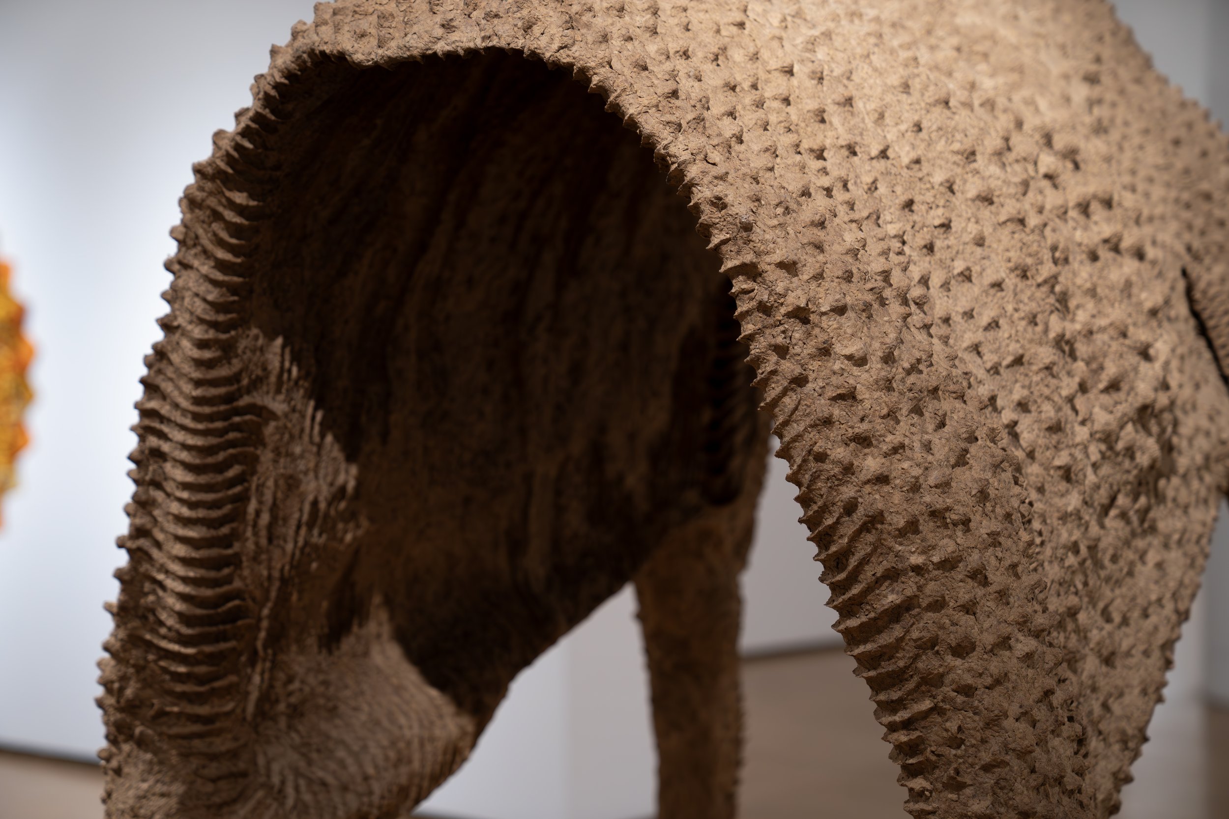 Lena Ruth Schwartz, 
Moose Husk,
2026, 
Cardboard pulp, glue, chicken wire, wood, PVC. 
87" x 60" x 44"