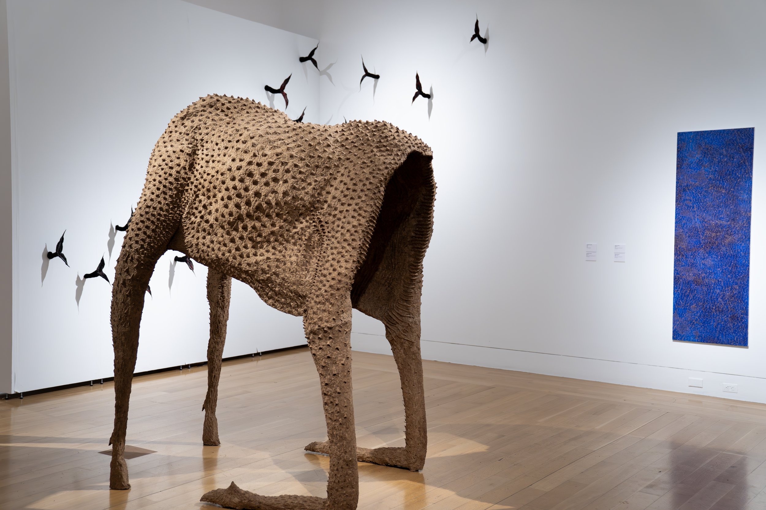 Lena Ruth Schwartz, 
Moose Husk,
2026, 
Cardboard pulp, glue, chicken wire, wood, PVC. 
87" x 60" x 44"
