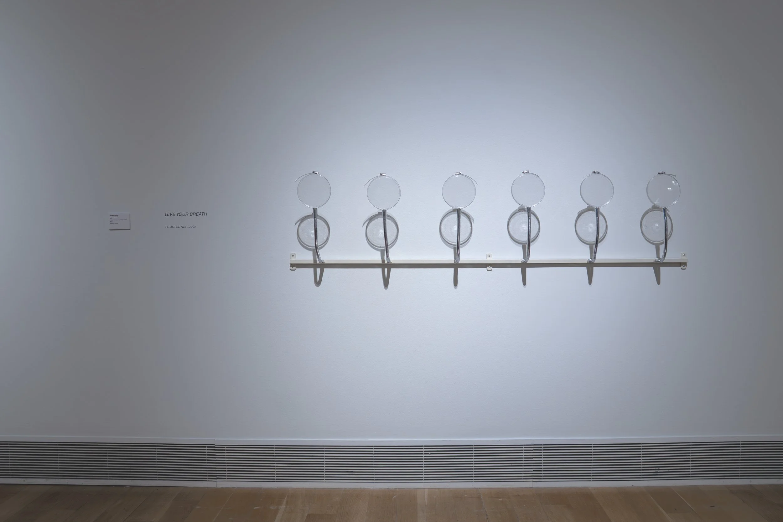 Rachael Henson, 
Breath Experiment II, 
2026, 
Steel, petri dishes, microphone goosenecks,  
Rain-X. 
Dimensions variable.