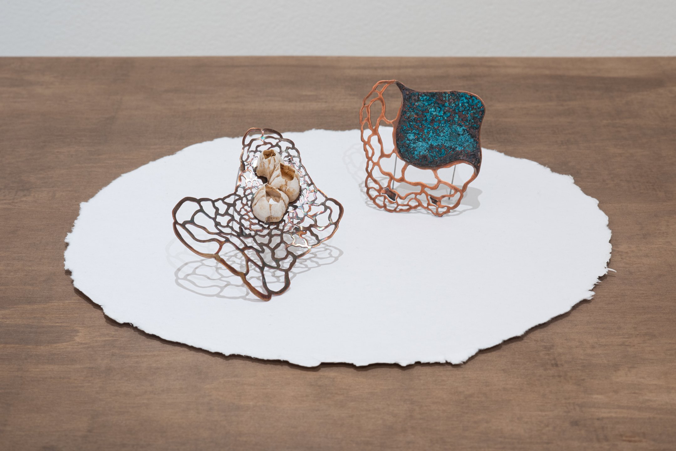 "Calcified" (Left) & "Covers" (Right)
Copper, Barnacles, Steel Pin-Stem, 3.75"x 3"x 0.75", 3.5"x 3.1"
Photo Credit: Neighboring States