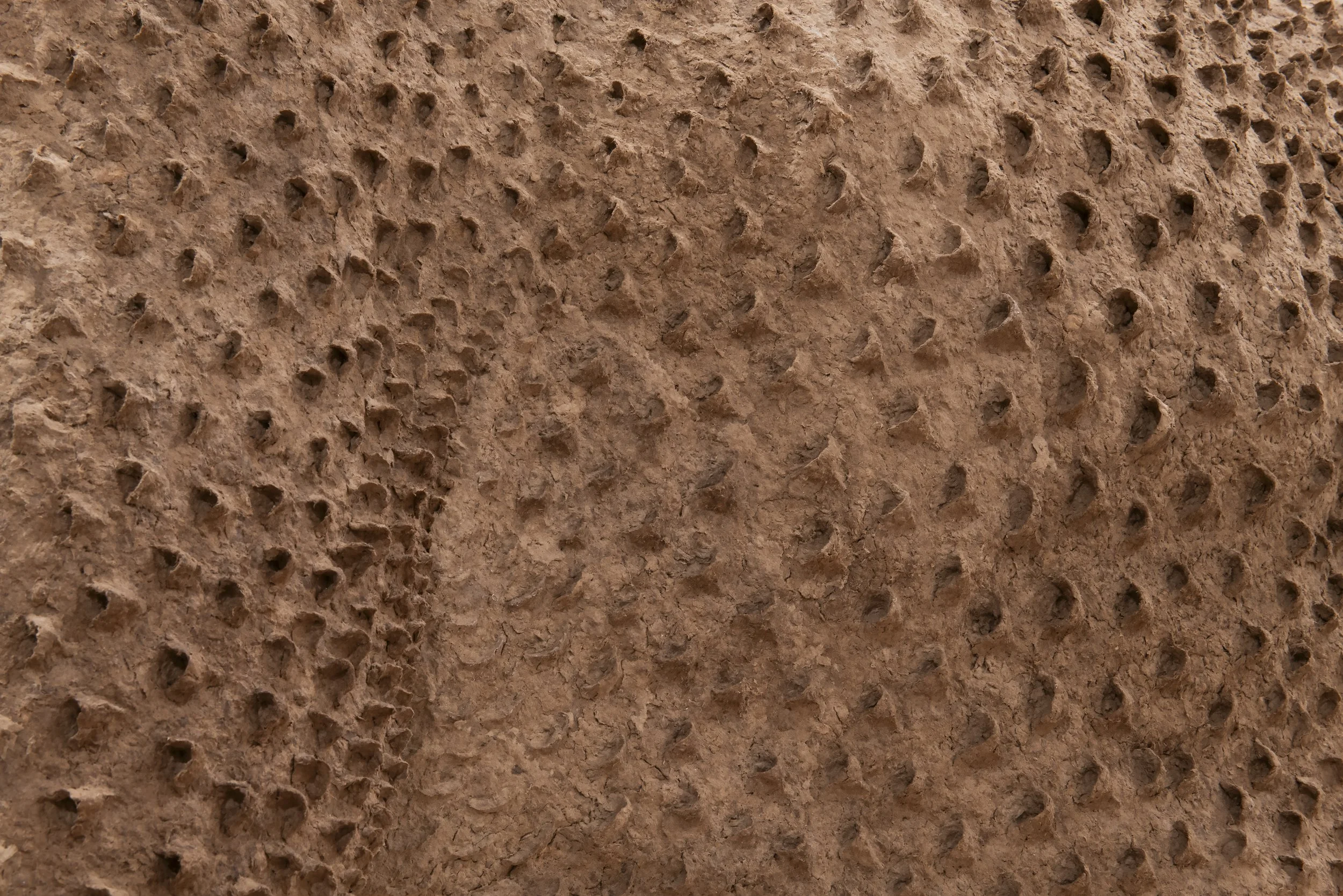  “Moose Husk” (detail), Cardboard pulp, glue, chicken
wire, wood, pvc, 87” x 60” x 44” Photo Credit: John Carlano