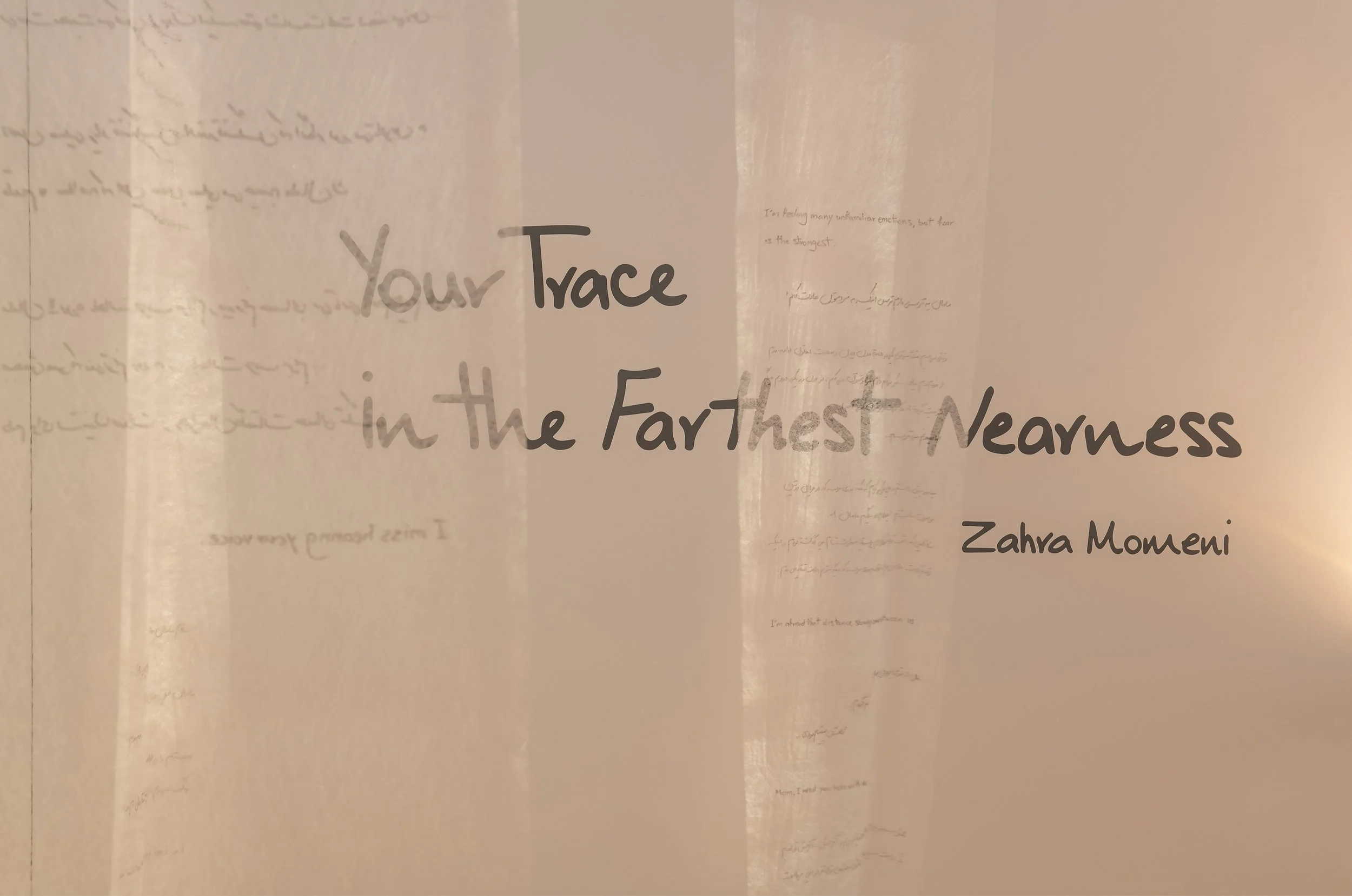 "Your Trace in the Farthest Nearness"
Detail. 
Mixed media installation with overhead projection, phytograms, transparent fabric, and handwritten text. 

Dimensions variable. 

Photo credit: John Carlano 