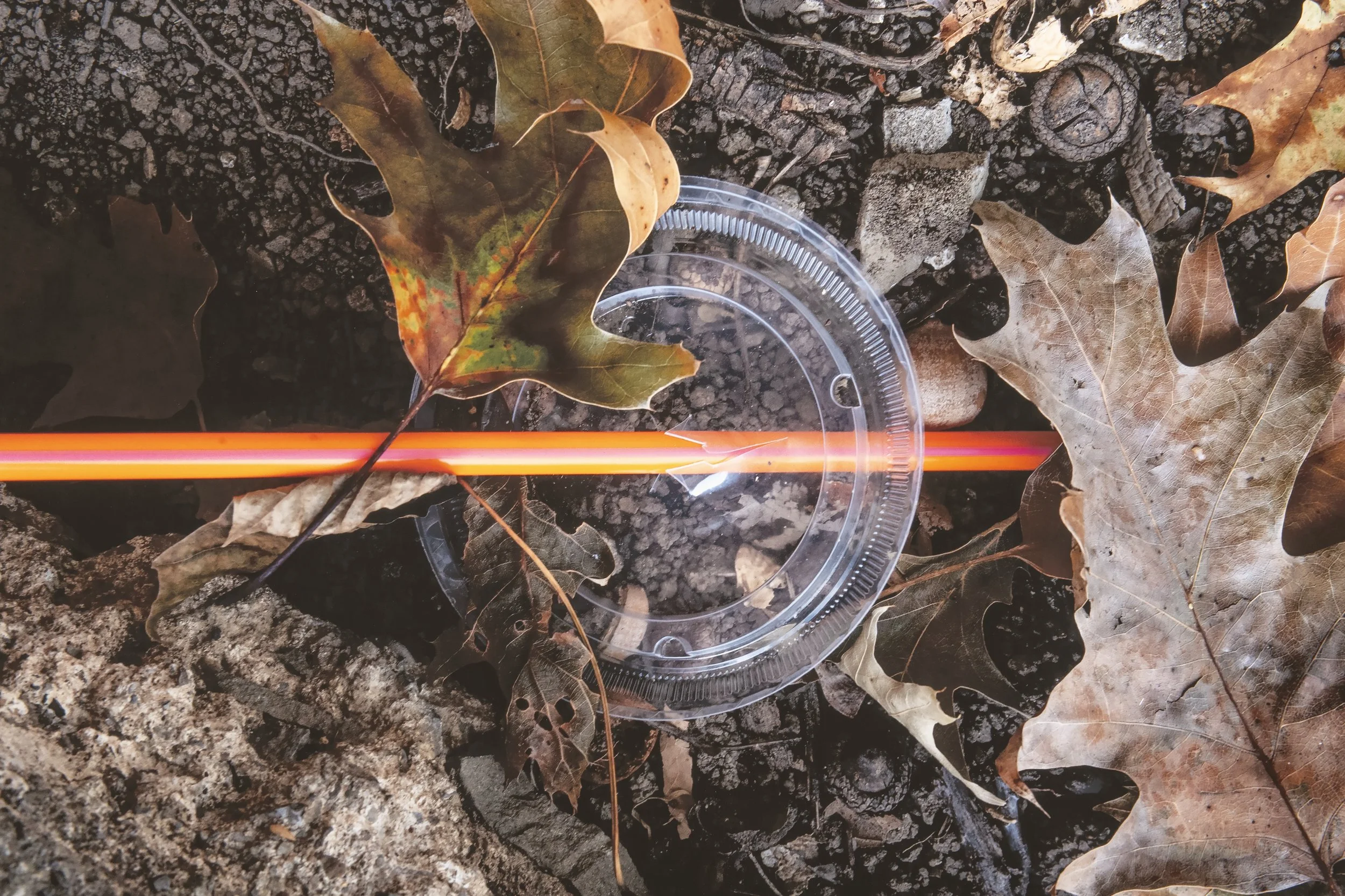 "Straw L1070798," (detail)

Archival Pigment Print on Fine Art Paper, wood frame, 44”x66”x1” framed,

Photo Credit: John Carlano