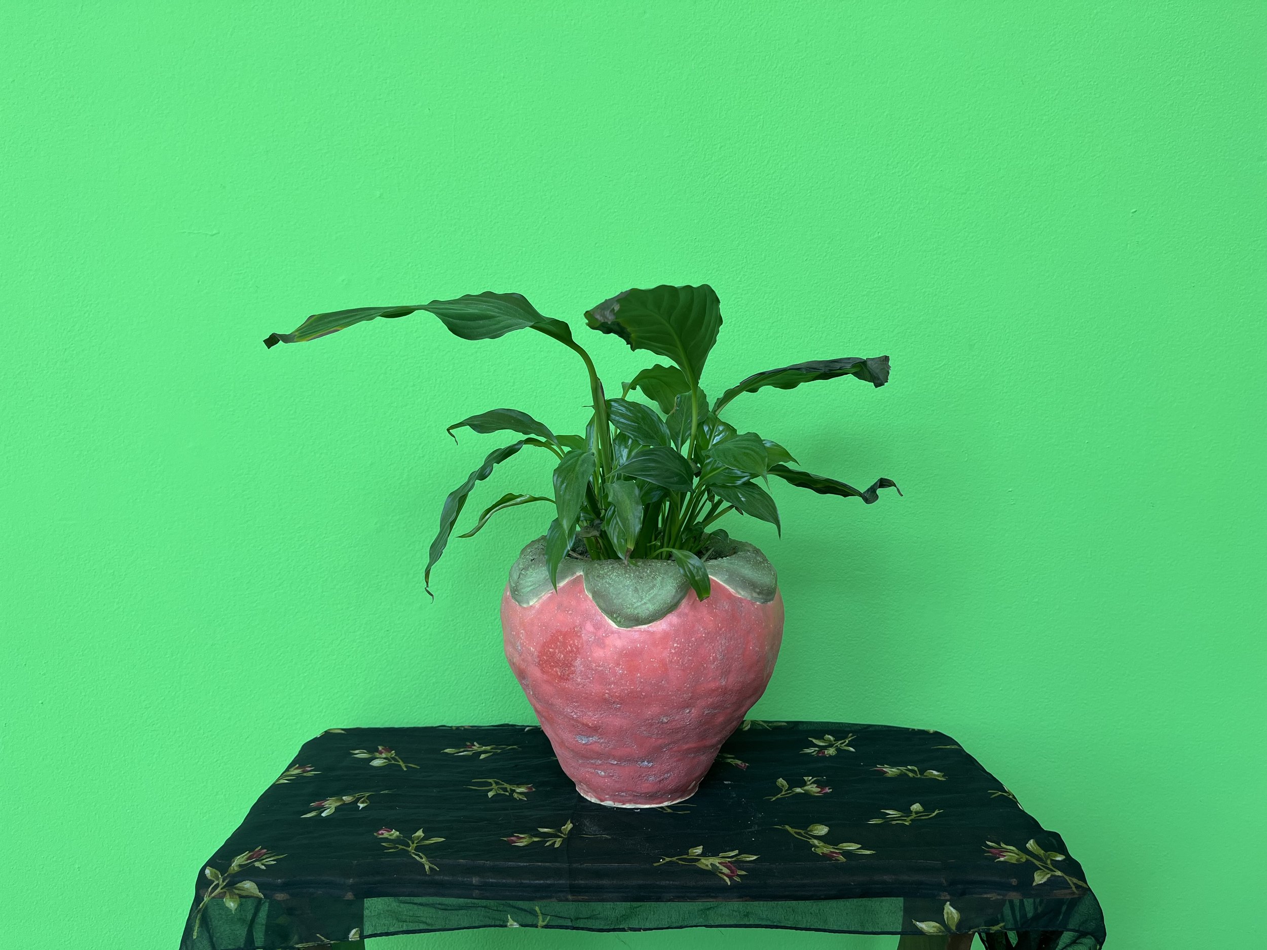 Strawberry Planter, 2022, Ceramic, 11" x 6"