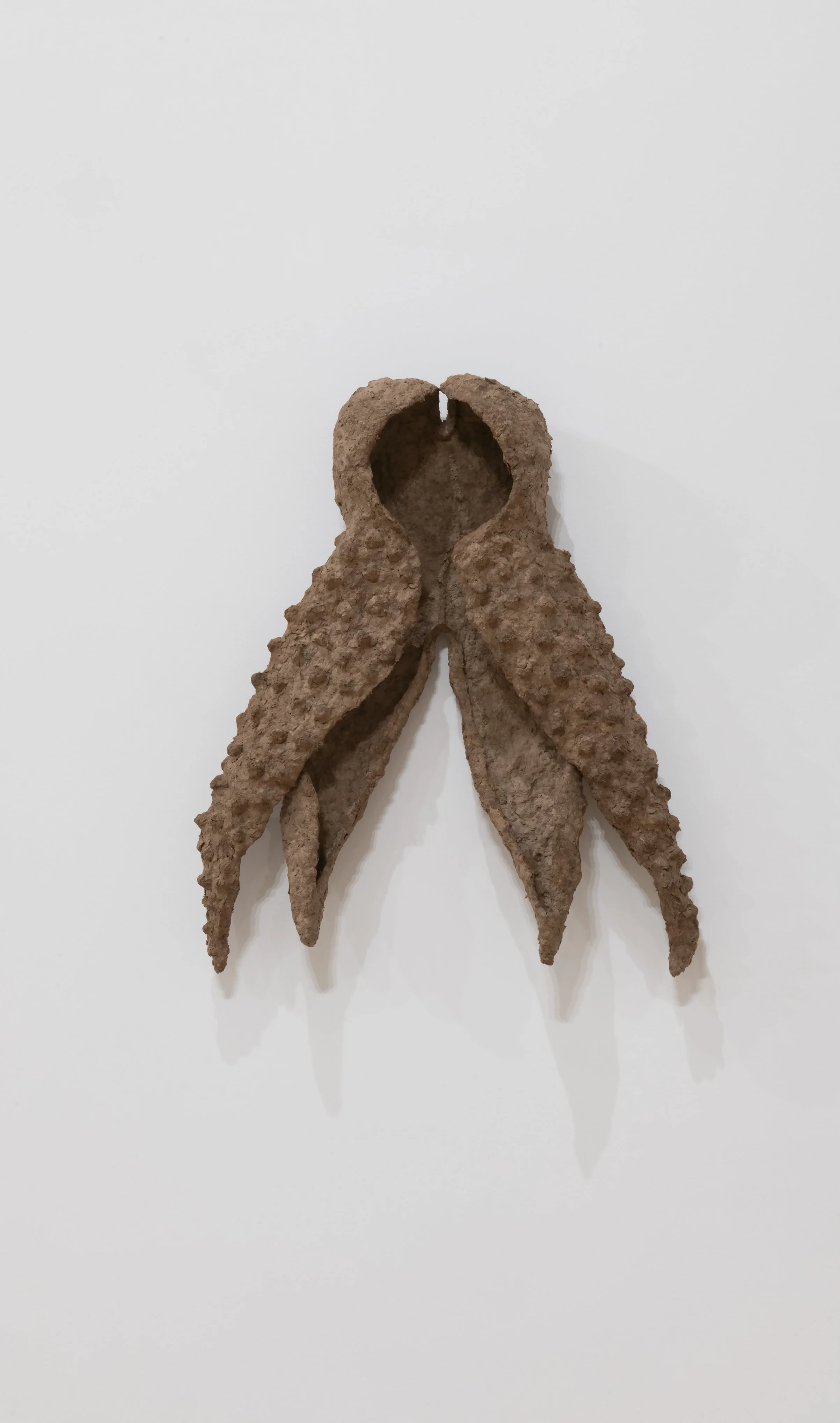 “Bird husk”, Cardboard pulp, glue, wire mesh, 21x
17” x 5” Photo Credit: John Carlano