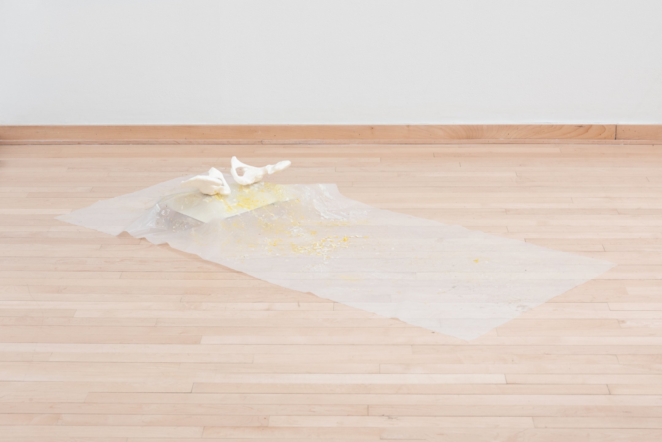 "I will give birth to a new baby!" 2025,
Bones cast in wax, sever motor, wood, cardboard, plastic.
30x 65 inches.