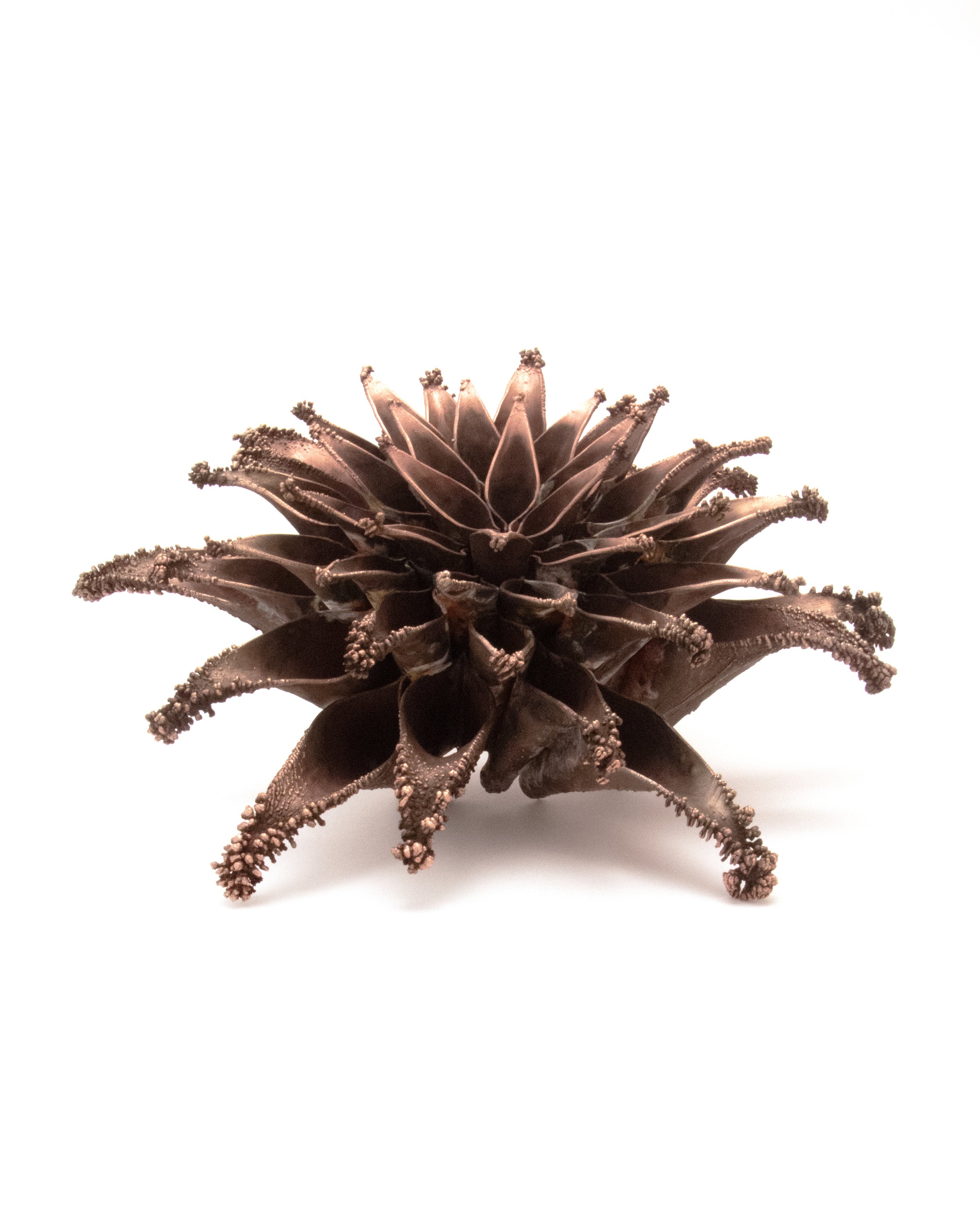 "Seeking" (Studio Shot)
Copper, 12” x 12” x 4”
Photo Credit: Jess Rose Lauro