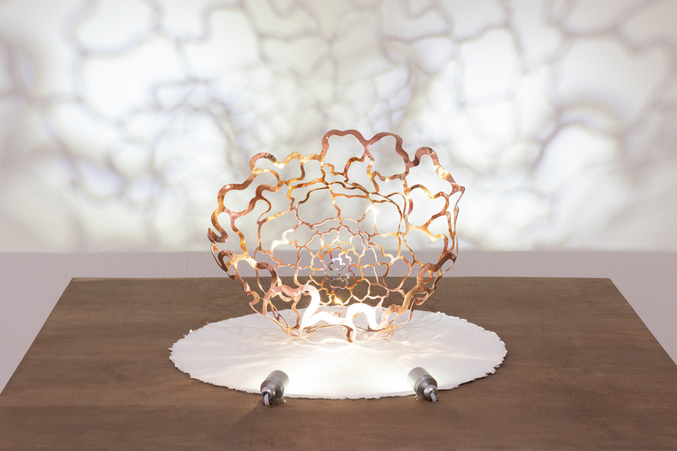 "Reflections"
Copper, 11” x 10” x 6”
Photo Credit: Neighboring States