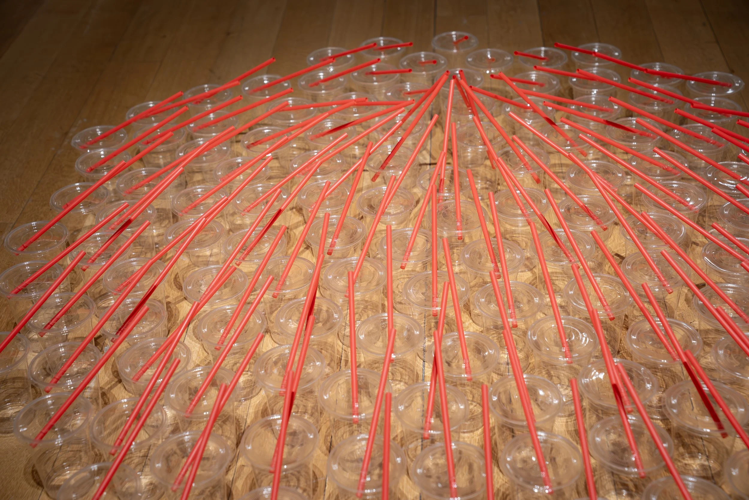 Gwyneth Zeleny Anderson, 
Chorus,
2026, 
Plastic cups and straws. 
7" x 40" x 40" 