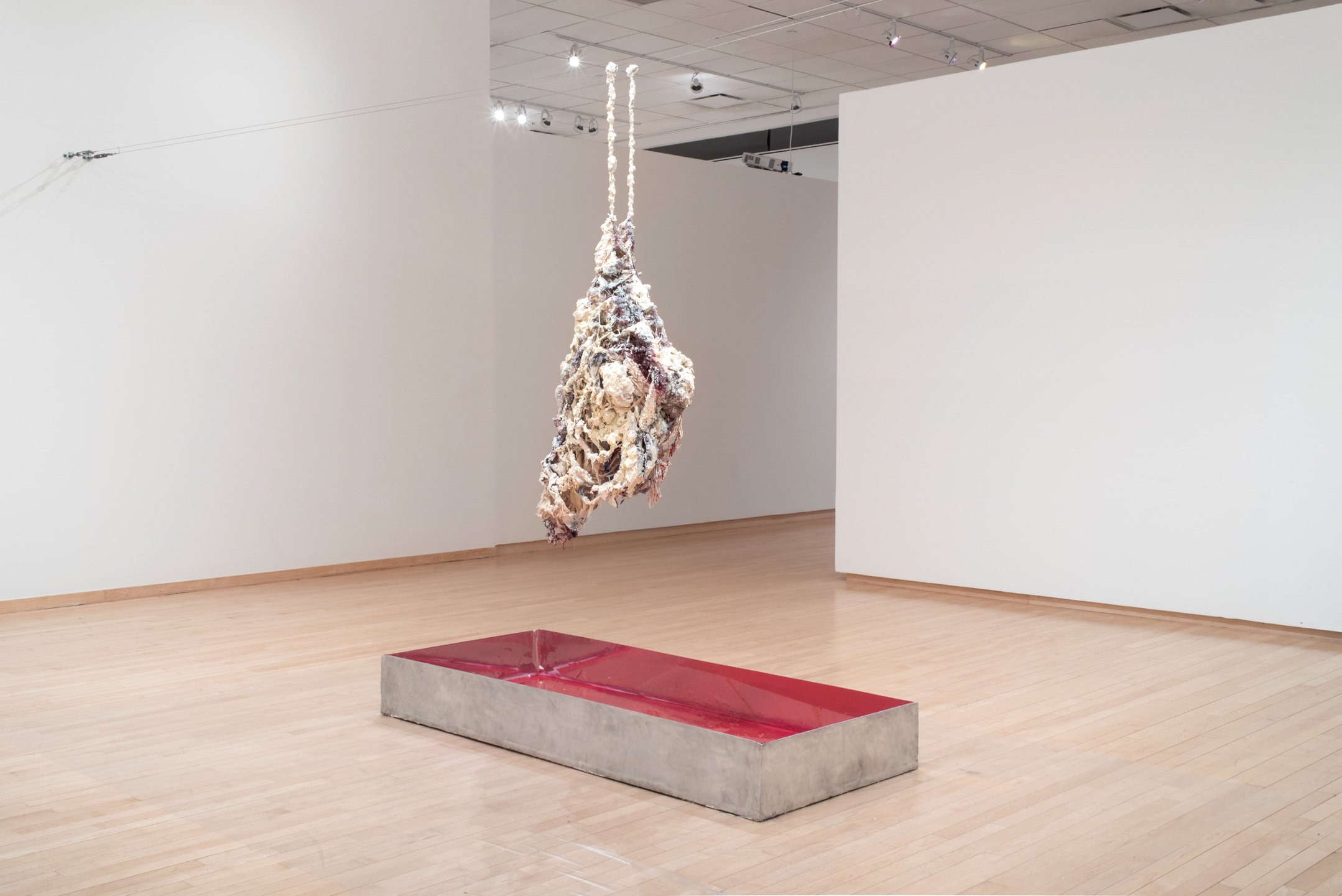 "Ashes no longer bear the essence of humans!" 2025,
wax, silicone, recycled fabric and rope, plaster, tubes, spray paint, water, aluminum, mirror sticker. box: 70x 30x8 inches. Photo Credit: Neighboring States