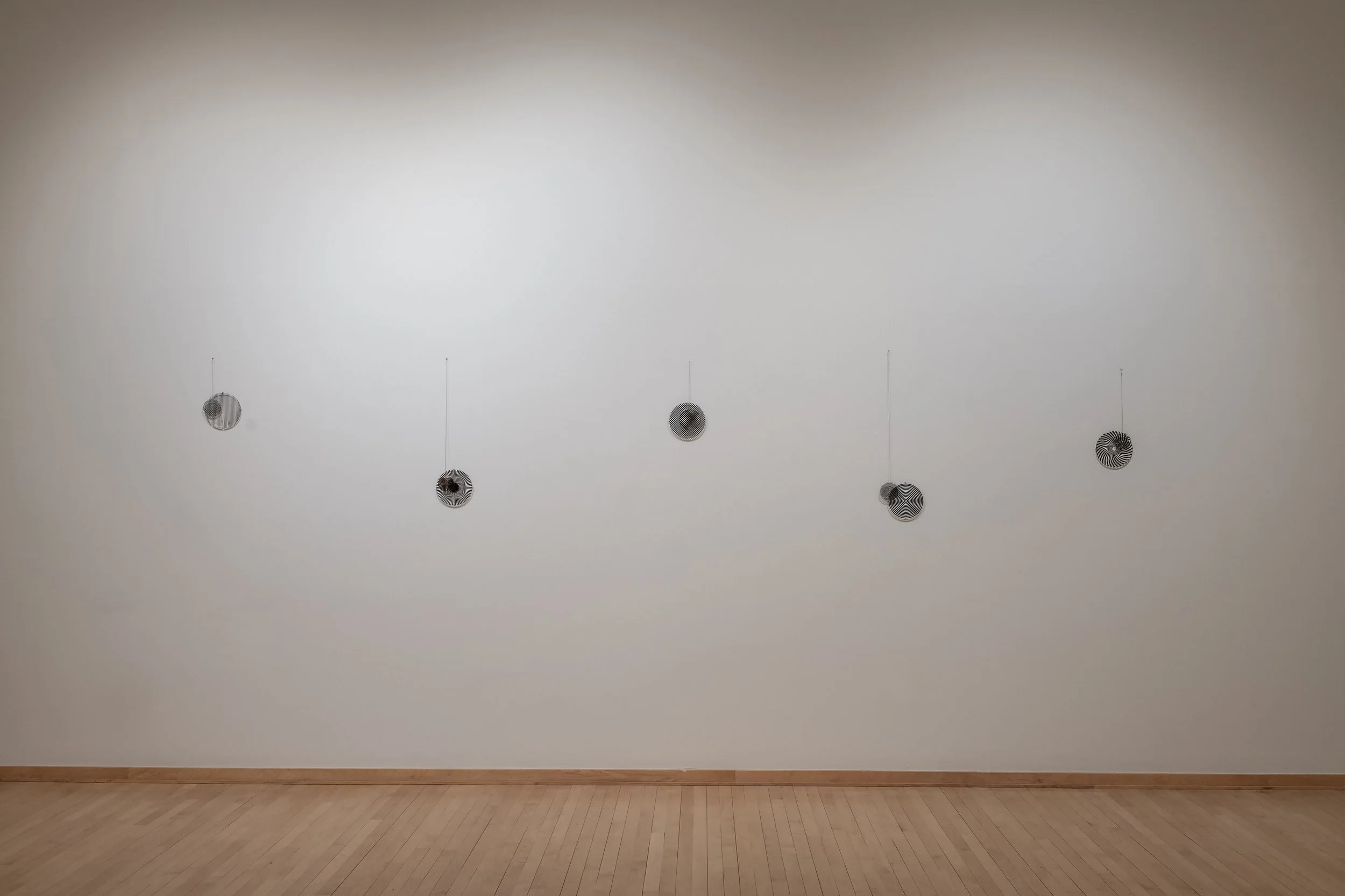 "Moiré Pendulums," Installation, Acrylic, vinyl, steel wire. Dimensions variable. Photo Credit: John Carlano