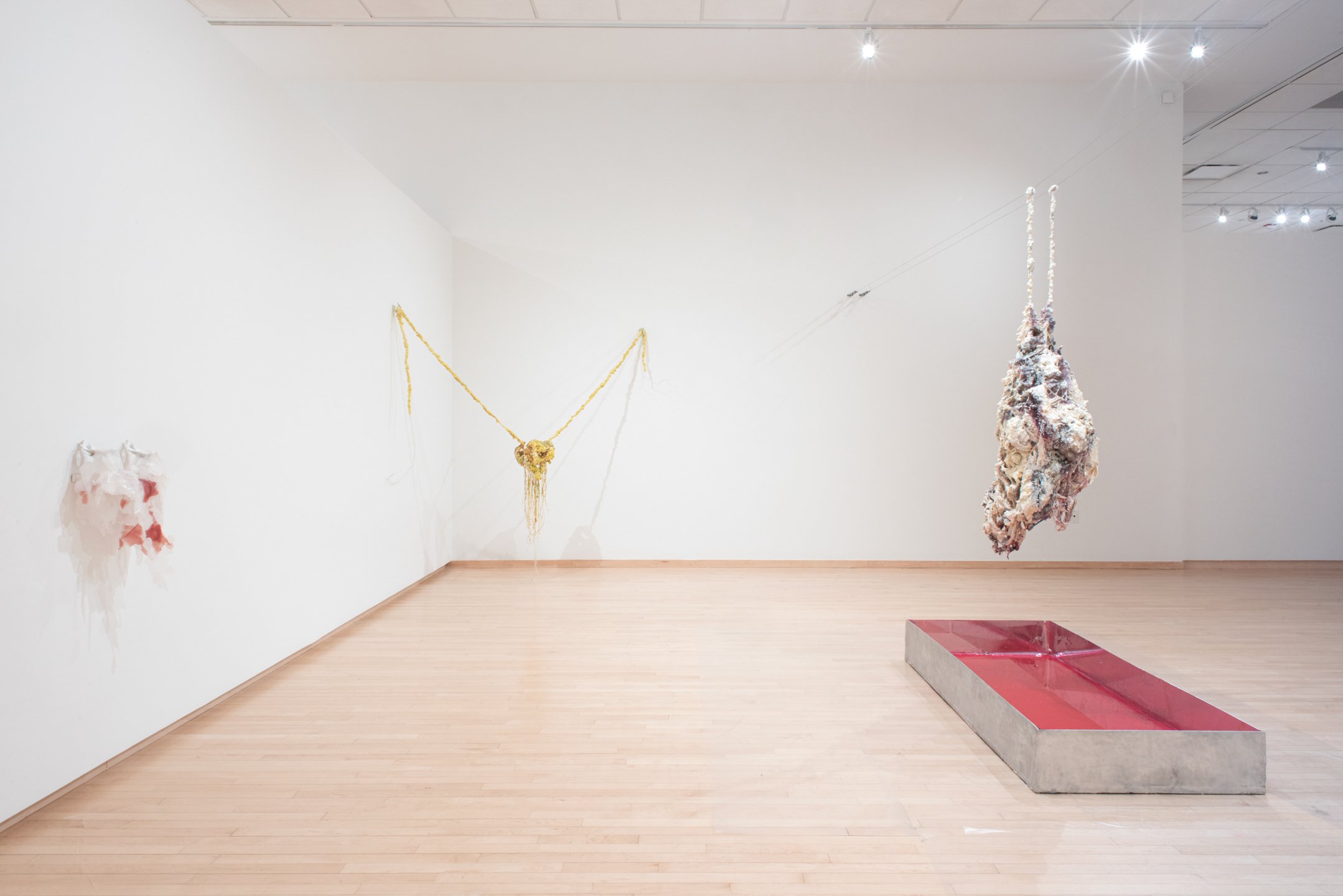 "I’m holding," 2025, Installation
Dimensions variable. Photo Credit: Neighboring States