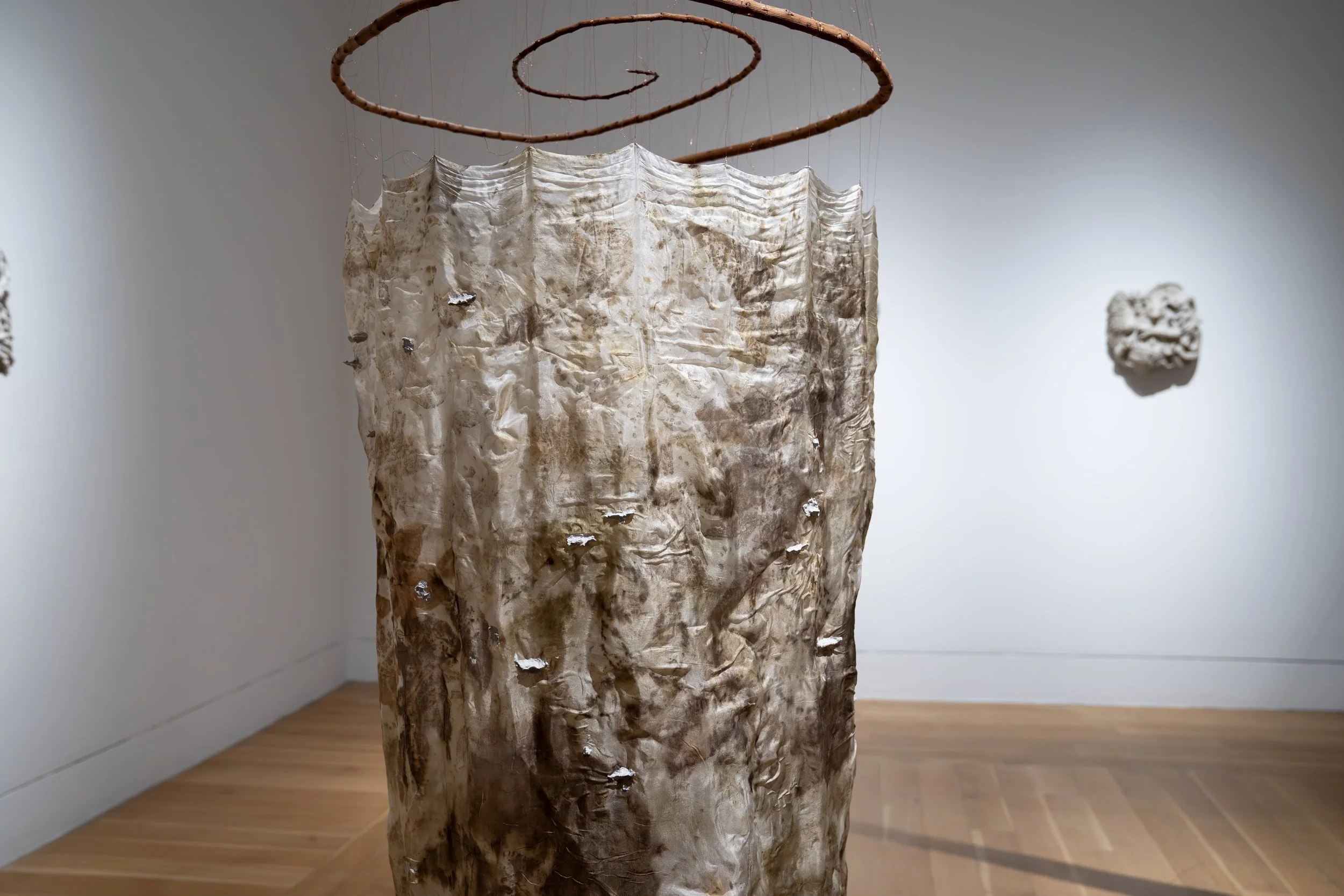 Meredith Tenney-Free, 
Syntropy Forms (Saints), 
2026, 
Silk dyed with leaves foraged from the farm I  
give my compost; smoketree branches from  
the parking lot next door; copper wire, plate,  
and leaf; catalogs and magazines collected  
from nume