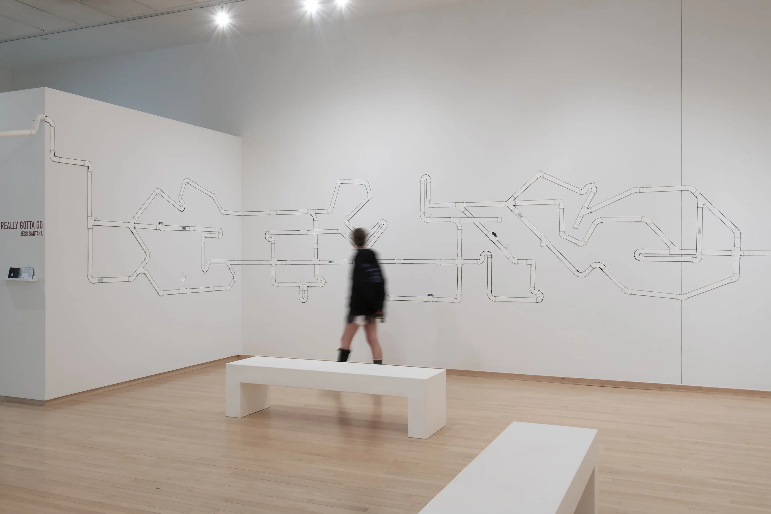 "Really Gotta Go" Installation View, Photo Credit: John Carlano