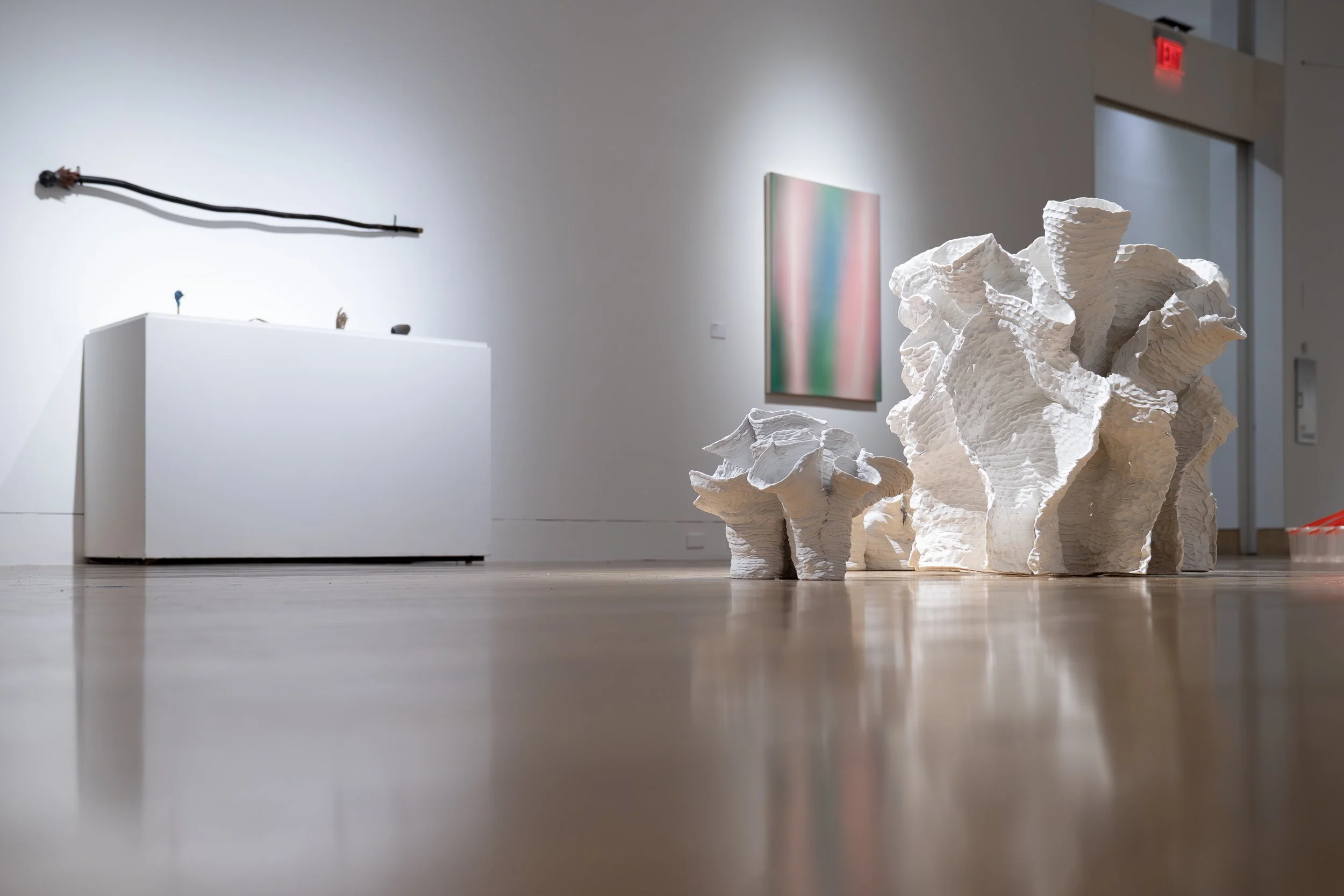 The Afterlife (installation view)