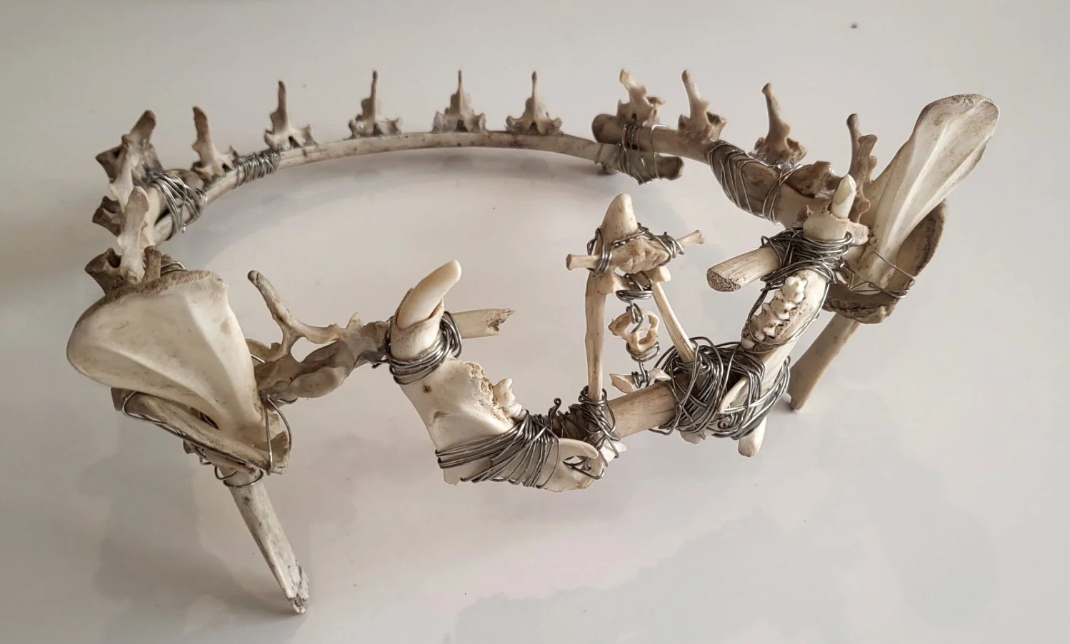 Crown of Bones (3/4 view), 2025, Found animal bones, jewelry wire, and superglue, 8” x 4”