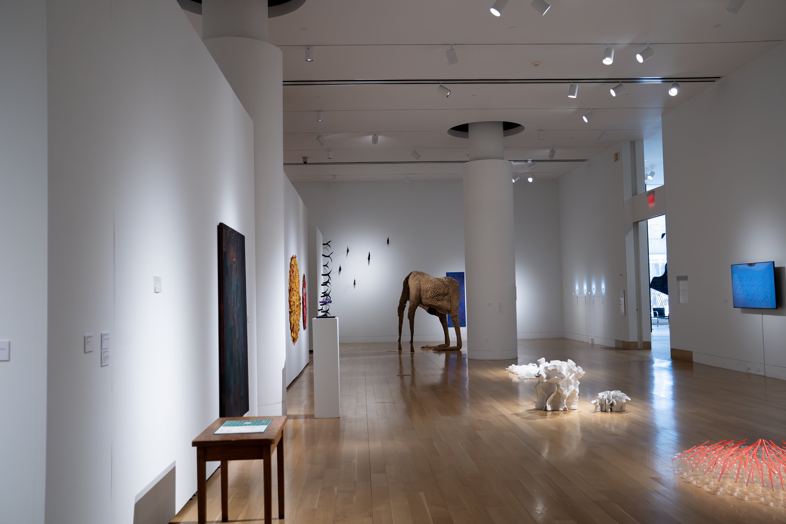 The Afterlife (installation view)